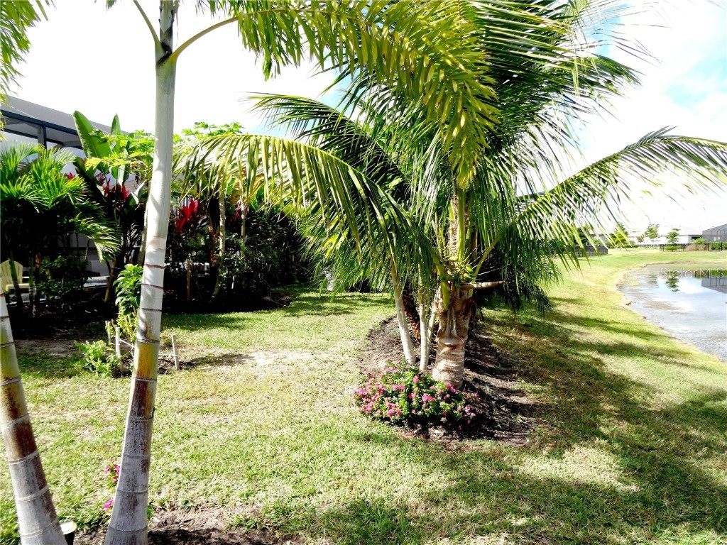 4957 Seafoam Trail Bradenton FL 34211 TB8401108 image30