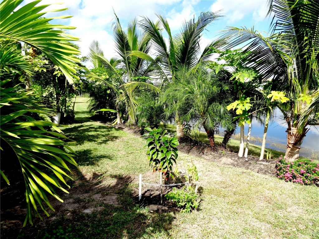 4957 Seafoam Trail Bradenton FL 34211 TB8401108 image33