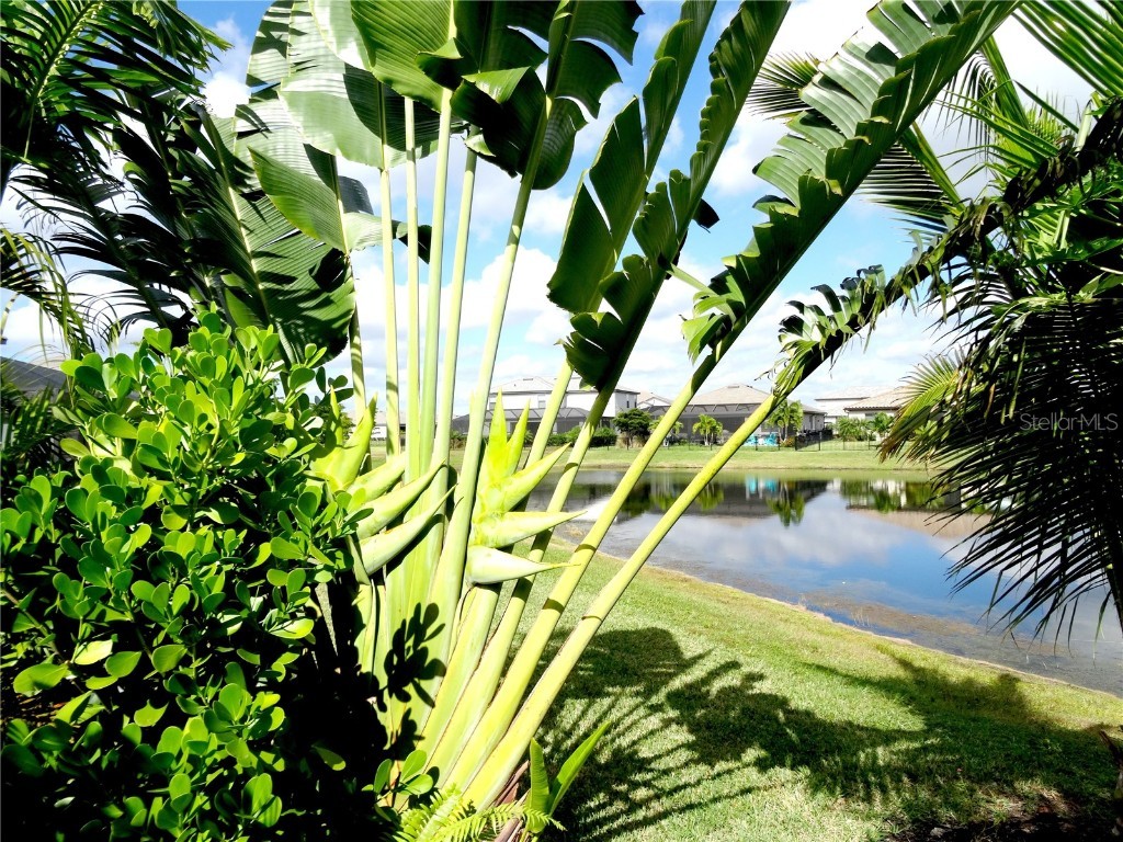 4957 Seafoam Trail Bradenton FL 34211 TB8401108 image34