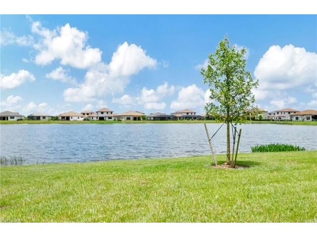 4959 Brigata Way Immokalee FL 34142 S5153678 image18