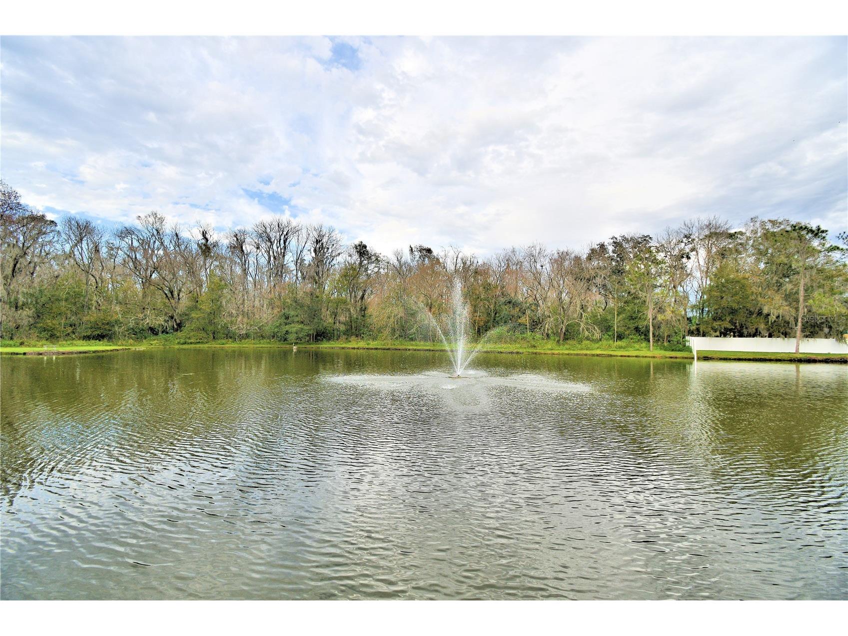 4960 Goldenview Lane Lakeland FL 33811 L4962177 image58