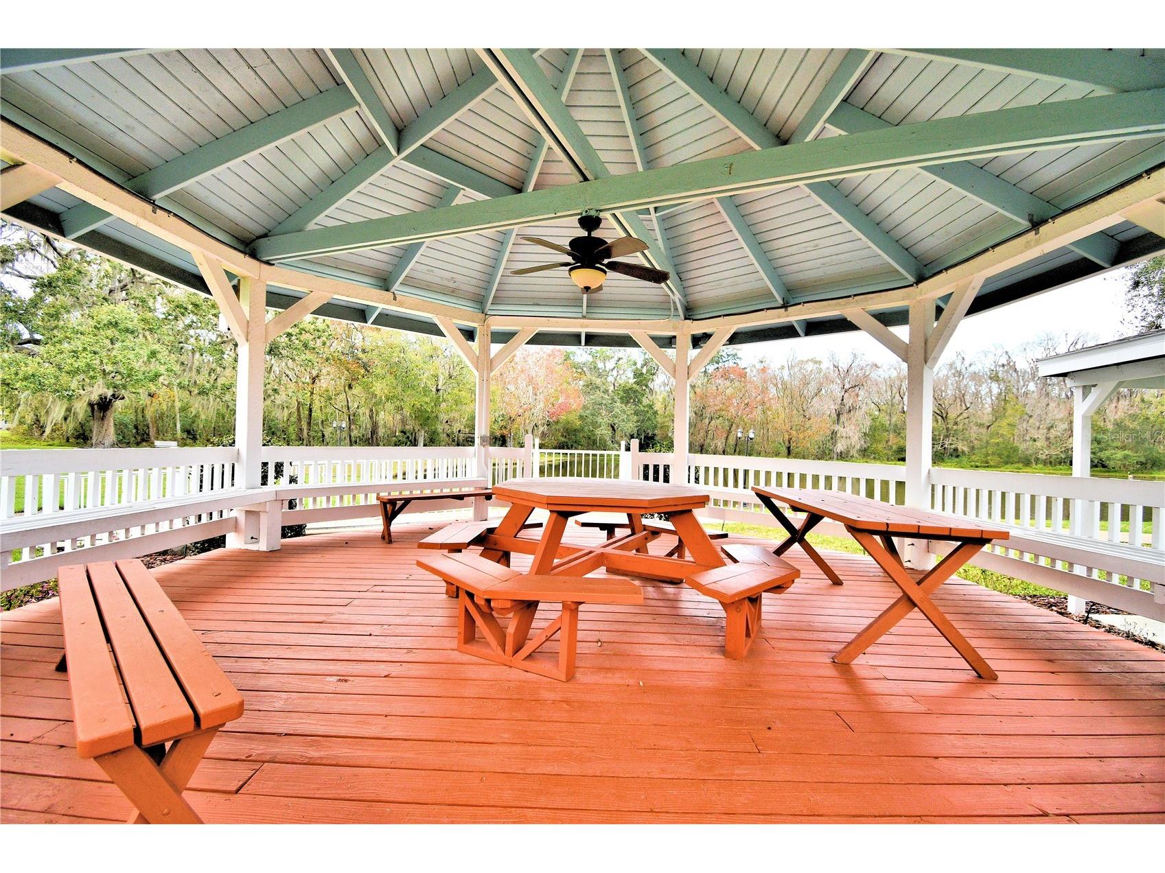 4960 Goldenview Lane Lakeland FL 33811 L4962177 image62