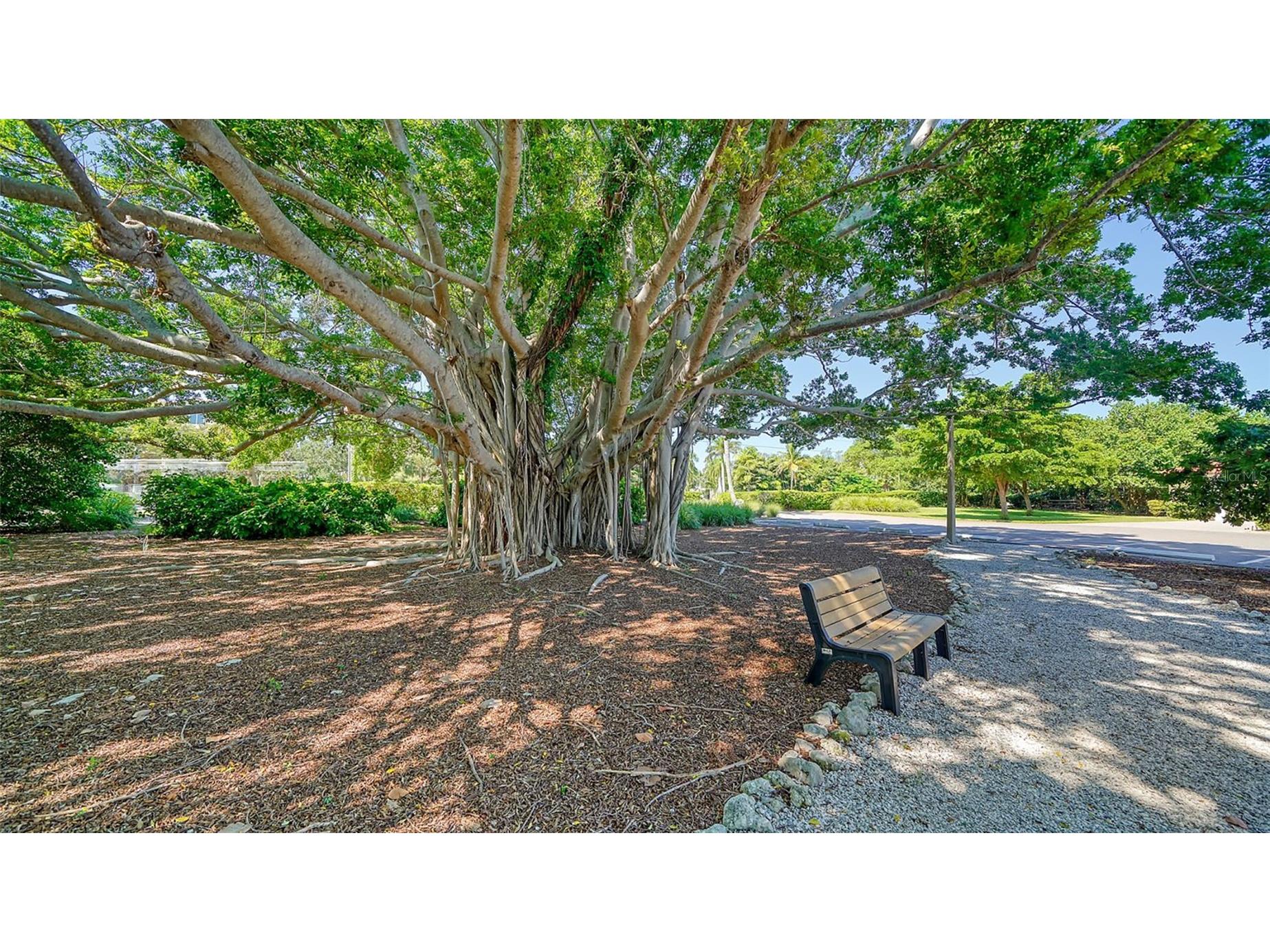 4960 Gulf Of Mexico Drive #204 Longboat Key FL 34228 A4677420 image48