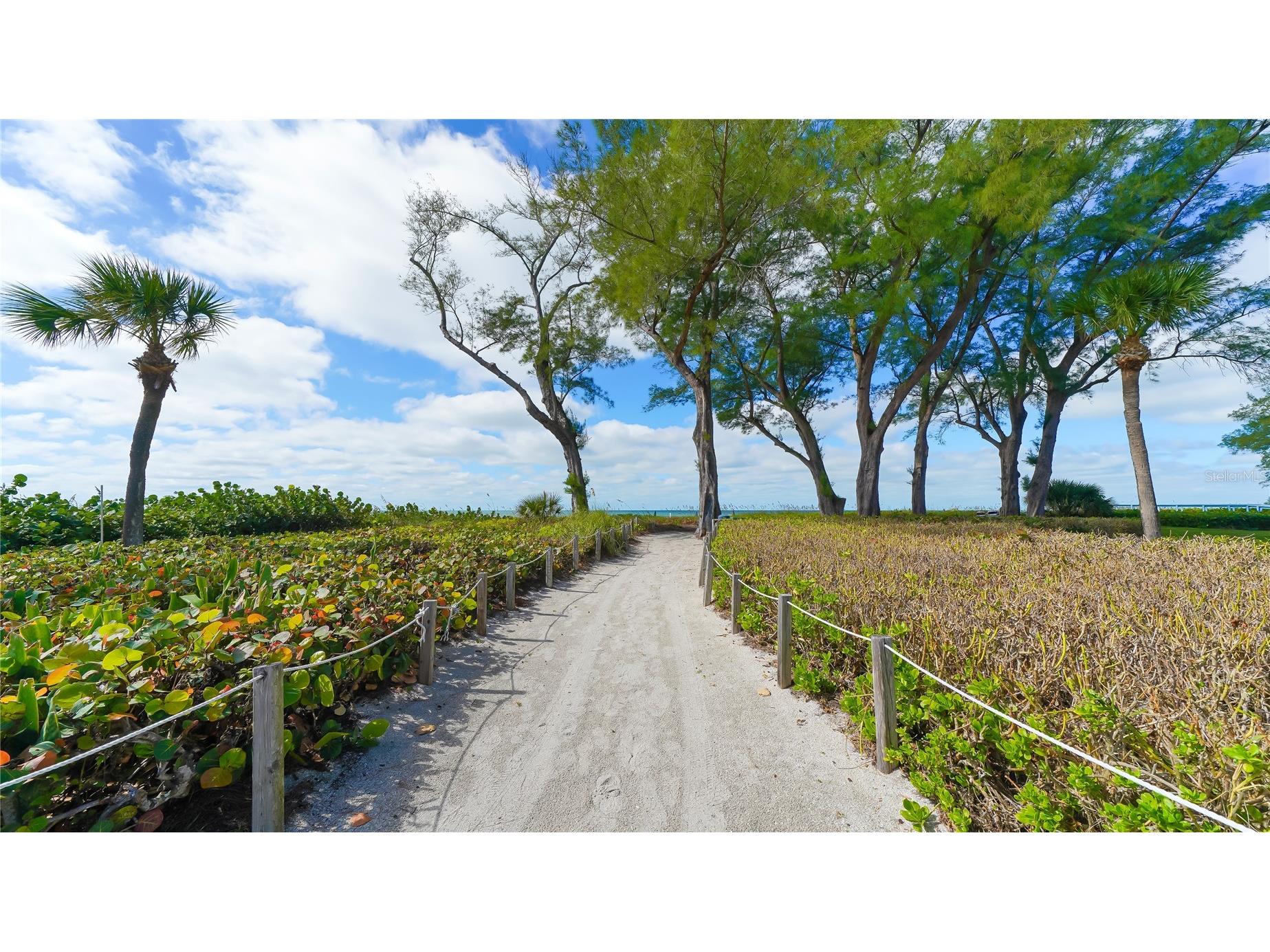 4960 Gulf Of Mexico Drive #206 Longboat Key FL 34228 - SARASOTA BAY ICW A4679160 image37