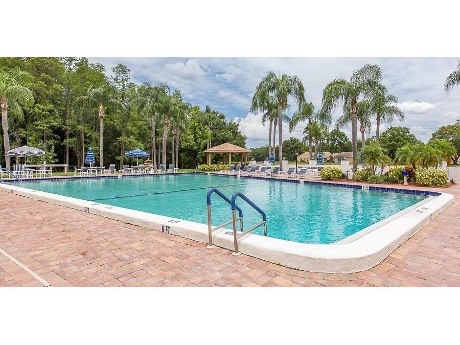 4961 Grist Mill Circle New Port Richey FL 34655 TB8460121 image18