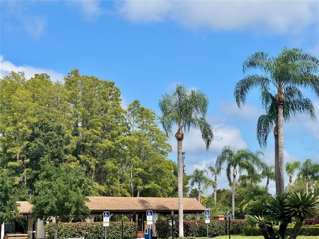 4961 Grist Mill Circle New Port Richey FL 34655 W7879376 image20