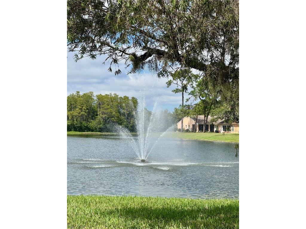 4961 Grist Mill Circle New Port Richey FL 34655 W7879376 image22