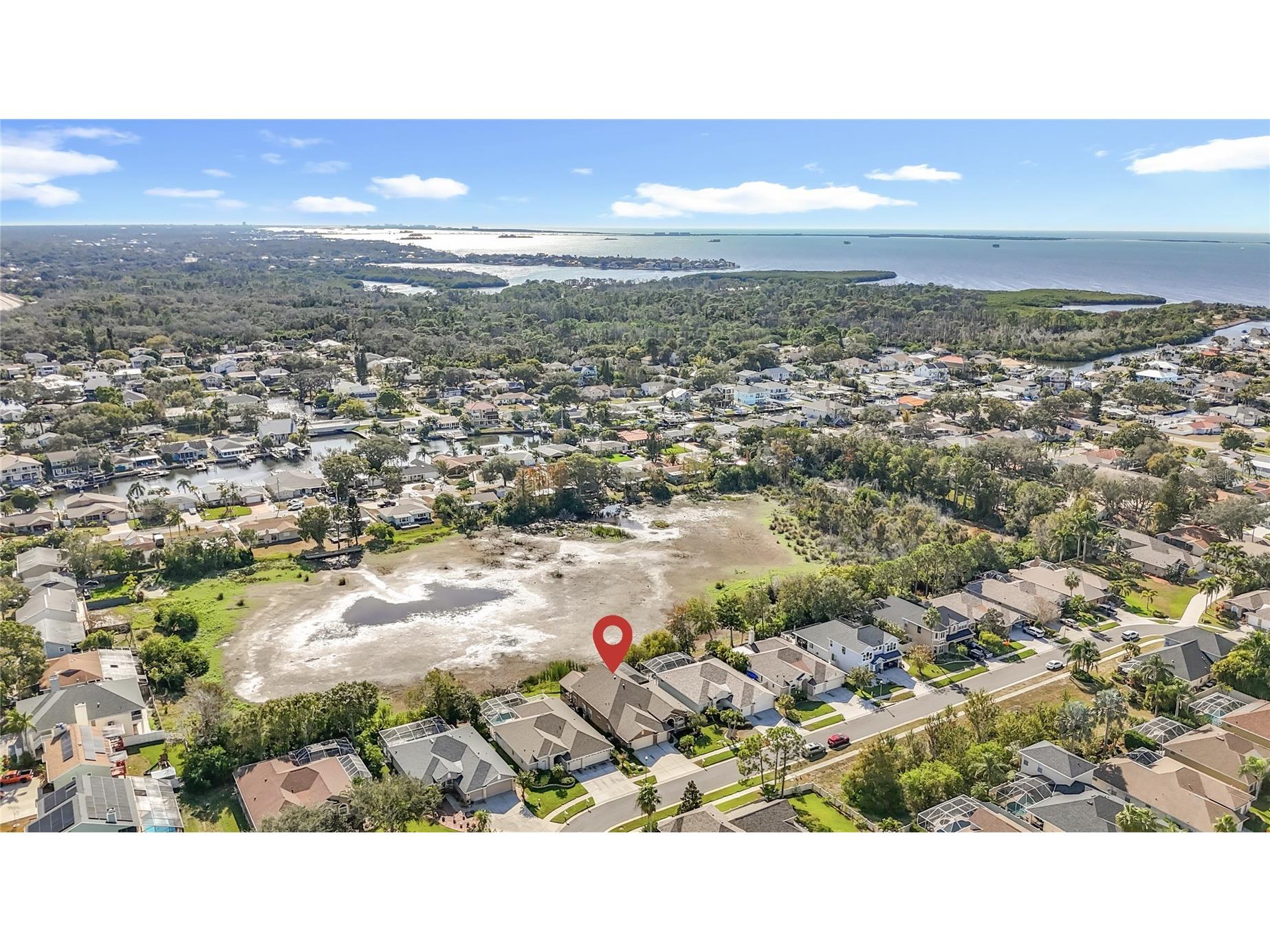 4961 W Breeze Circle Palm Harbor FL 34683 TB8453071 image3