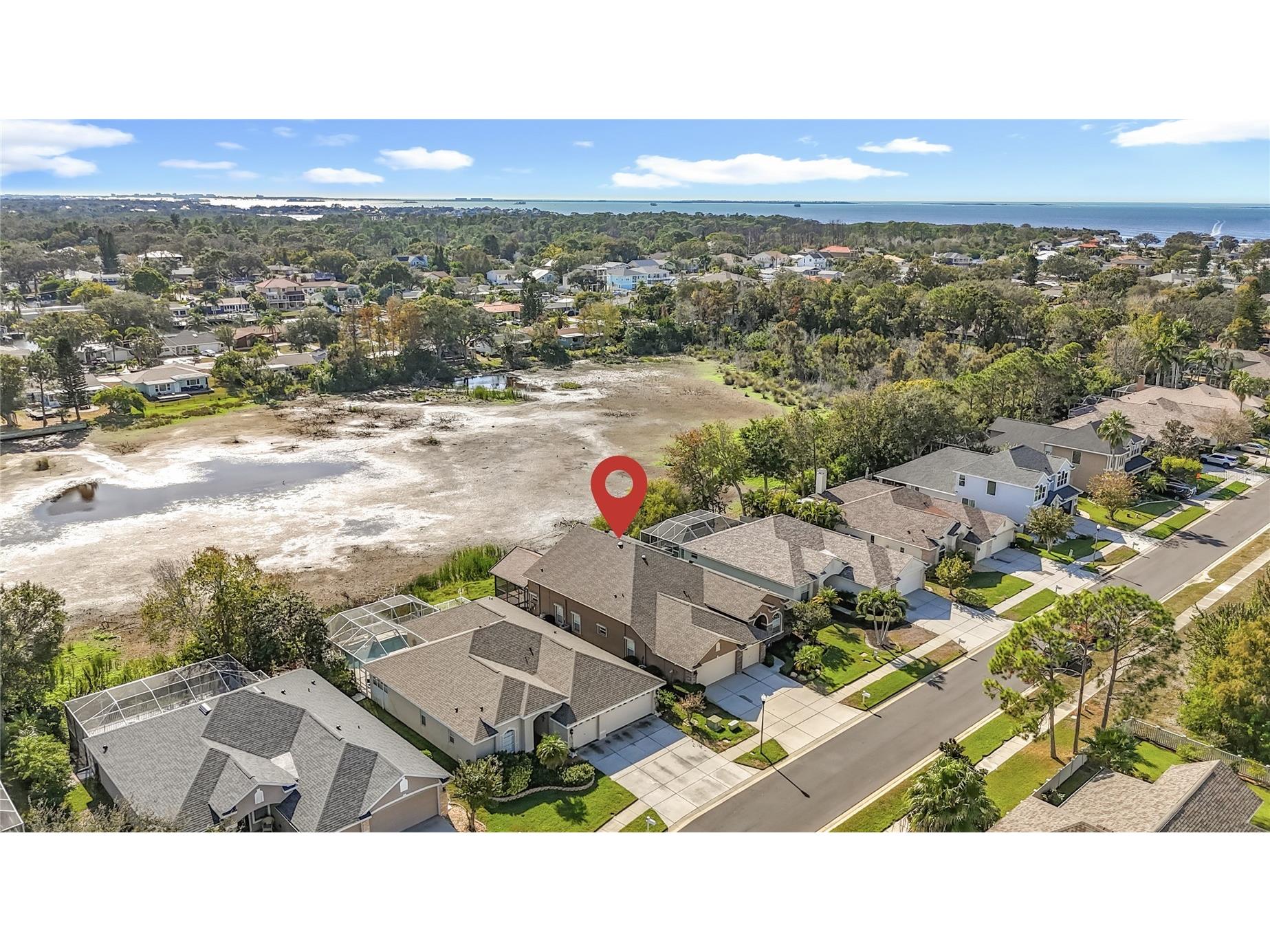 4961 W Breeze Circle Palm Harbor FL 34683 TB8453071 image4