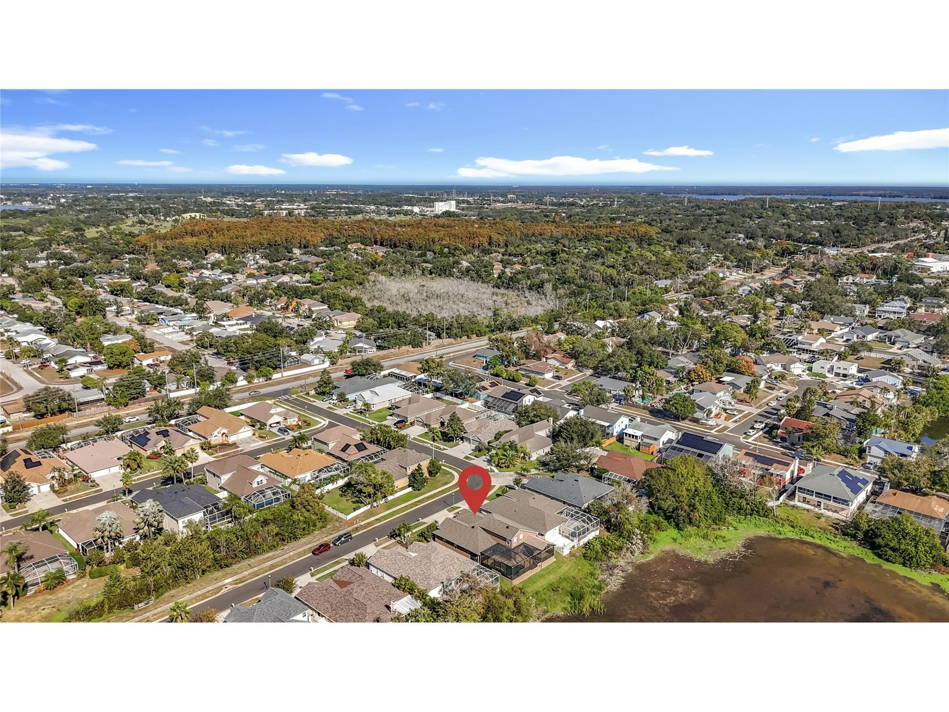 4961 W Breeze Circle Palm Harbor FL 34683 TB8453071 image5