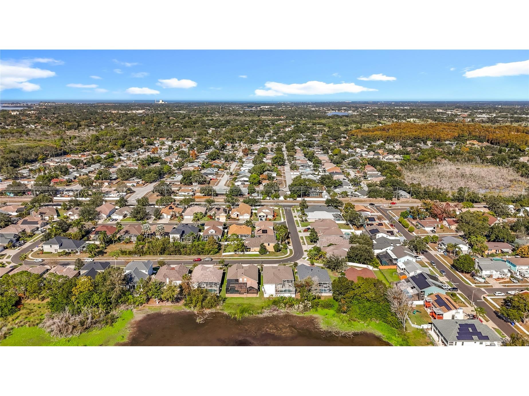 4961 W Breeze Circle Palm Harbor FL 34683 TB8453071 image98