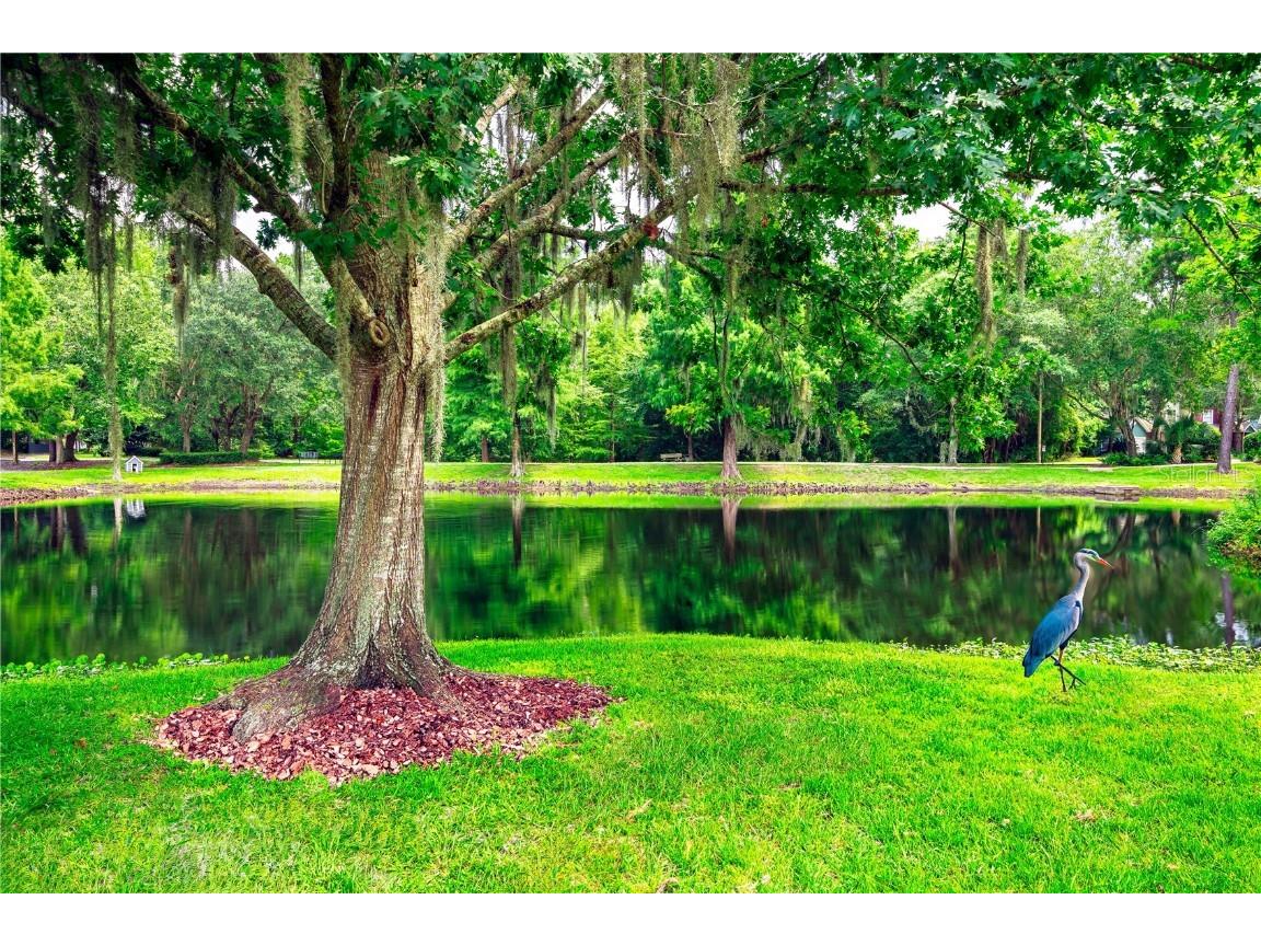 4963 NW 2nd Place Gainesville FL 32607 - Mill Pond GC515016 image1