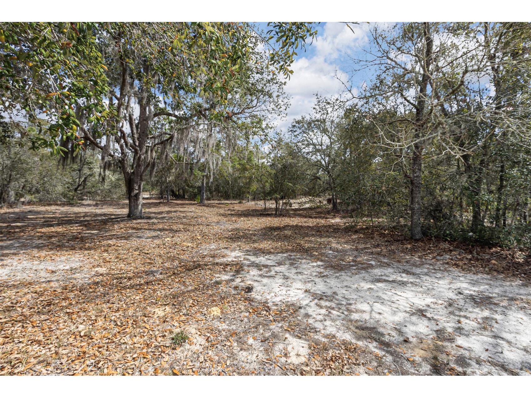 4963 SW Hyacinth Court Dunnellon FL 34431 GC538222 image18