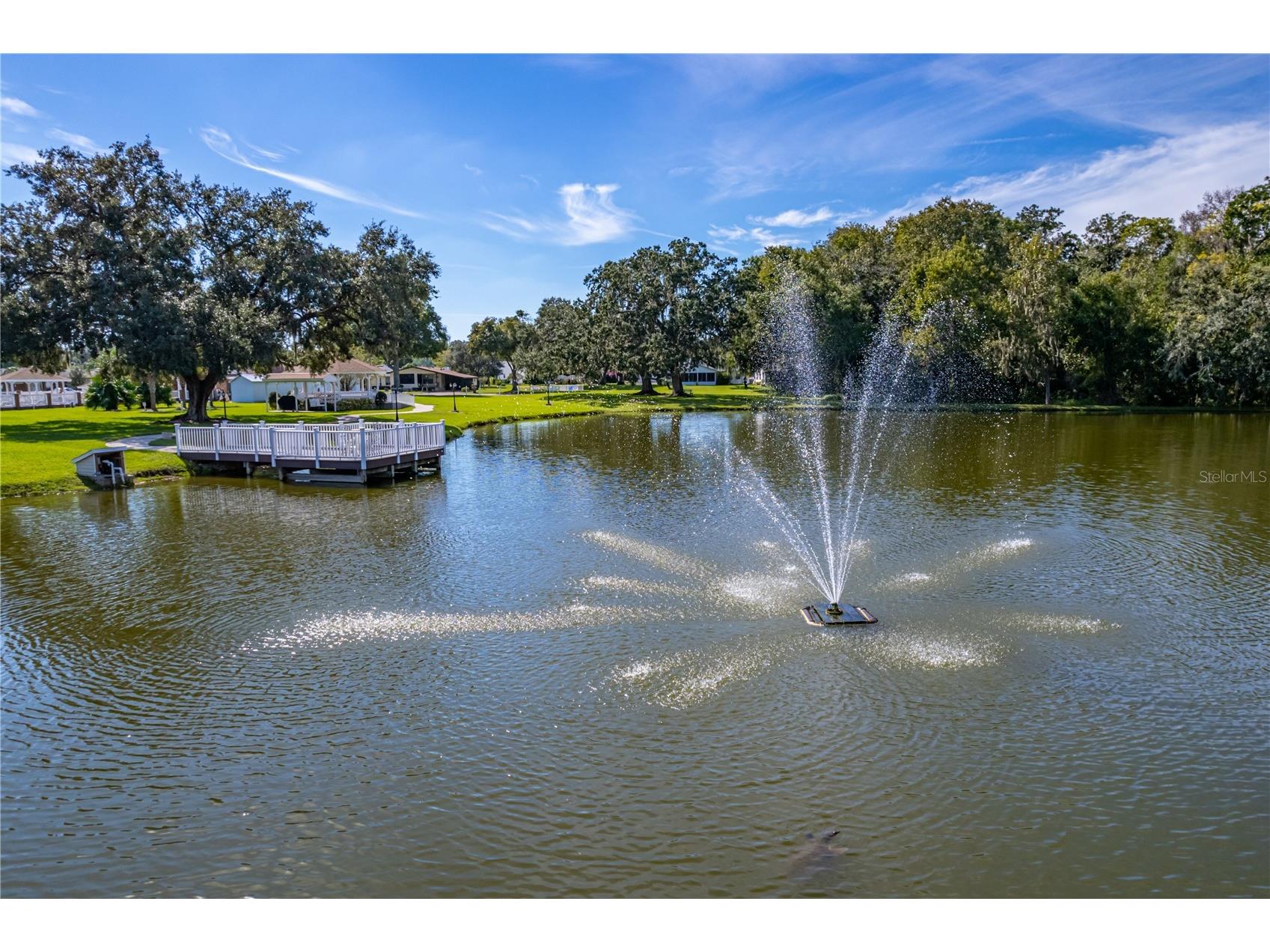 4965 Goldenview Lane Lakeland FL 33811 L4952142 image48