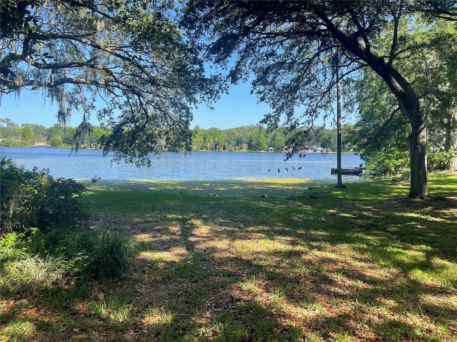 4965 Puritan Circle #401 Tampa FL 33617 TB8532329 image2