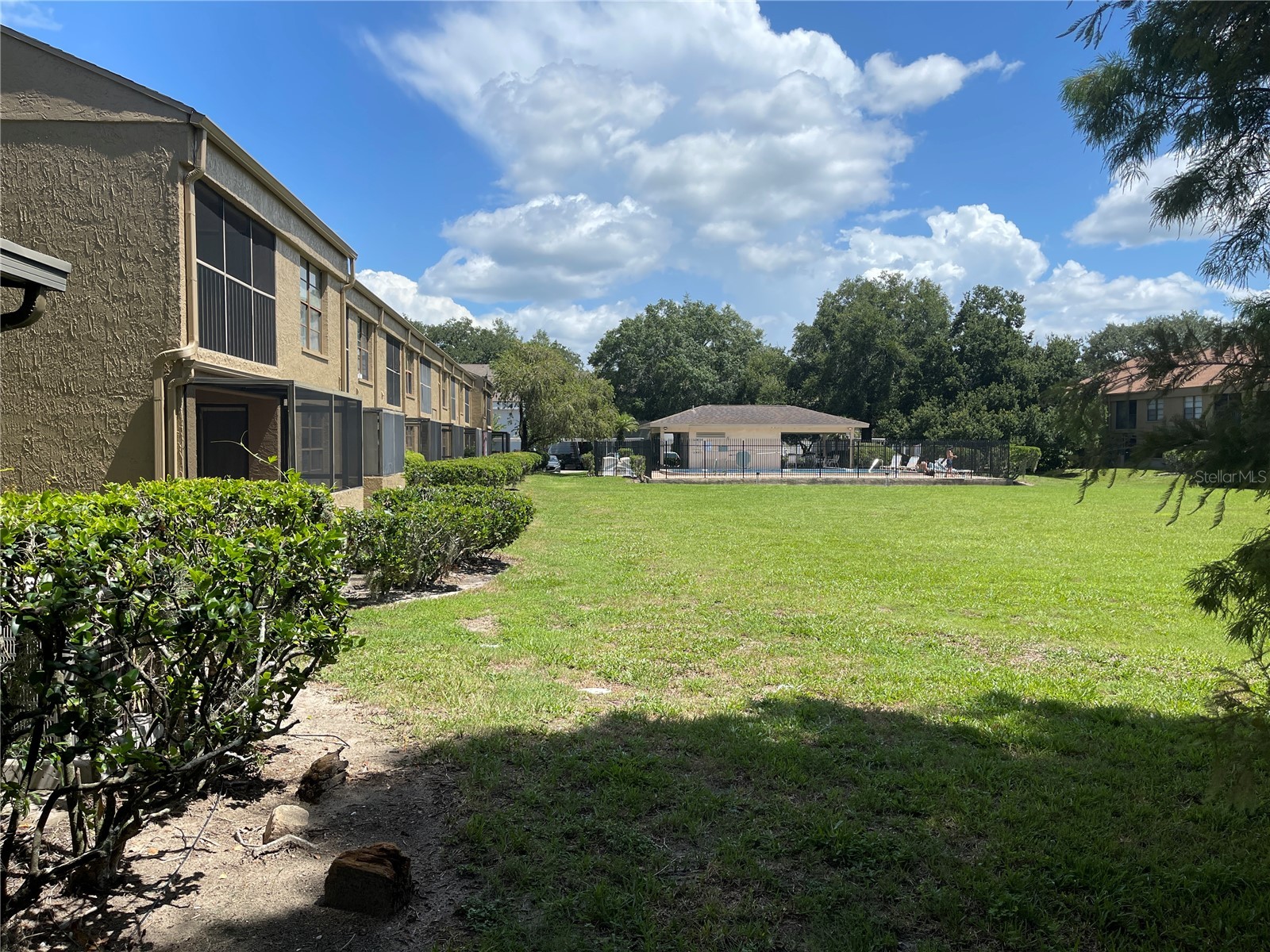 4965 Puritan Circle #401 Tampa FL 33617 TB8532329 image23