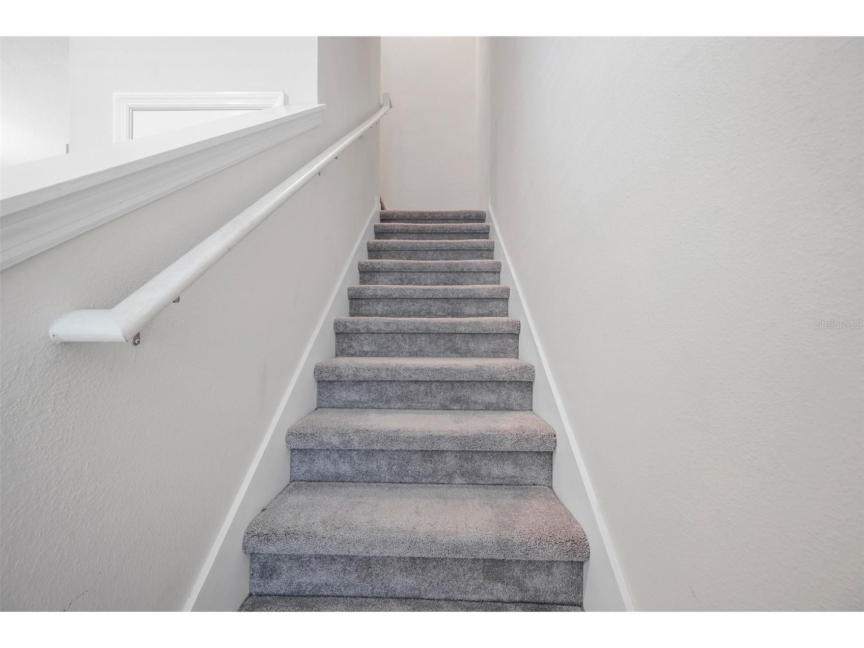 4966 Avalon Park Boulevard Wesley Chapel FL 33545 TB8498283 image27
