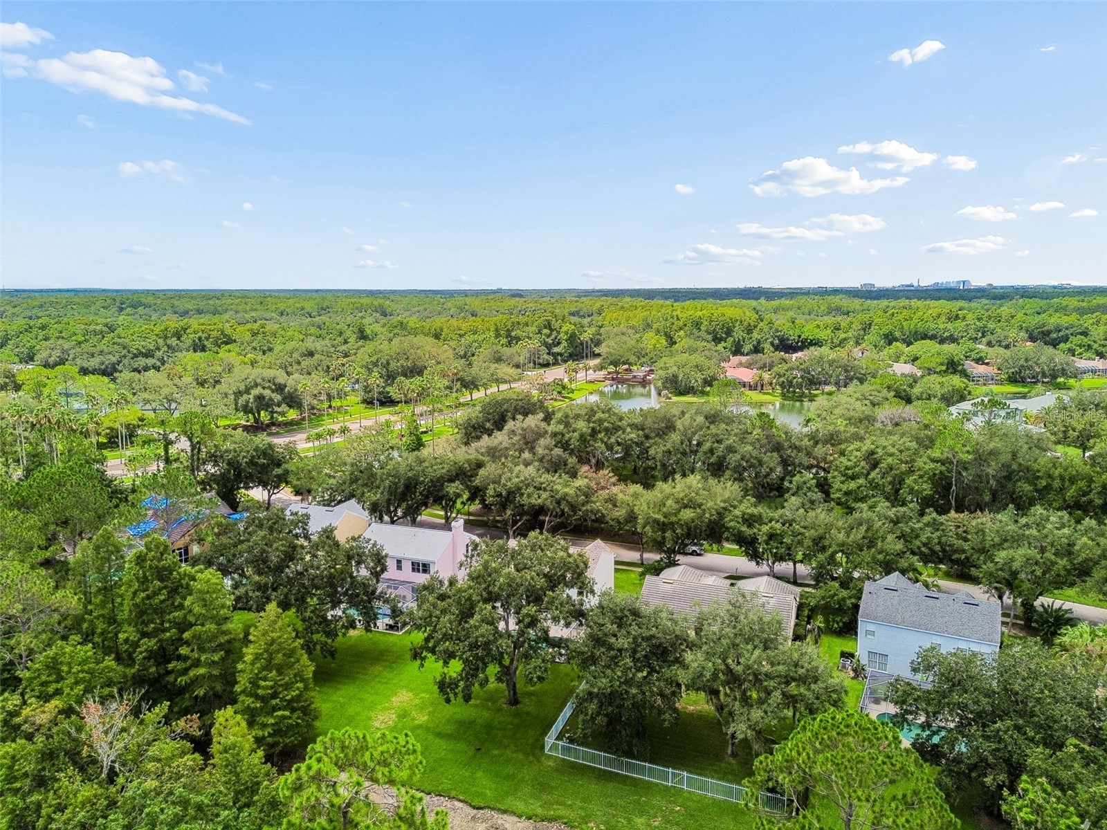 4966 Ebensburg Drive Tampa FL 33647 TB8532042 image58