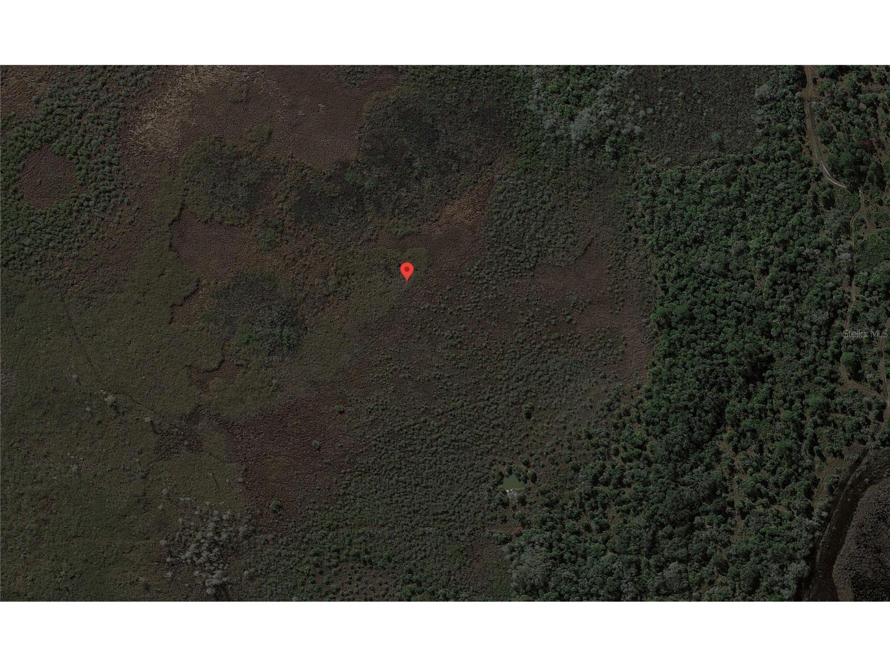 49667 Bermont Road Punta Gorda FL 33982 C7491983 image10