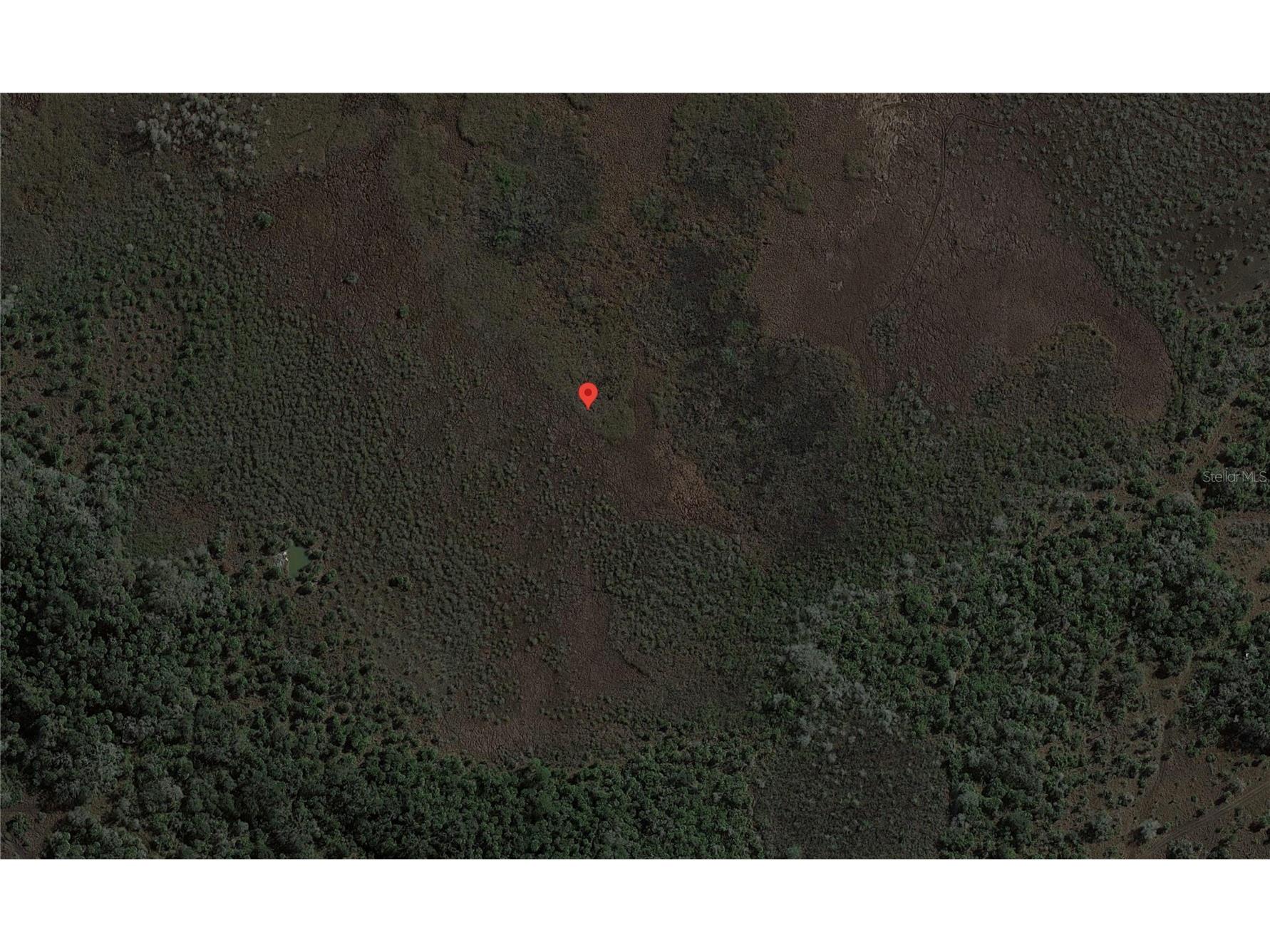 49667 Bermont Road Punta Gorda FL 33982 C7491983 image4