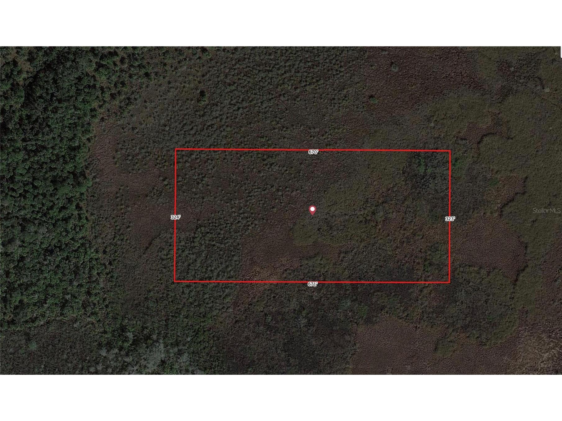 49667 Bermont Road Punta Gorda FL 33982 C7491983 image5