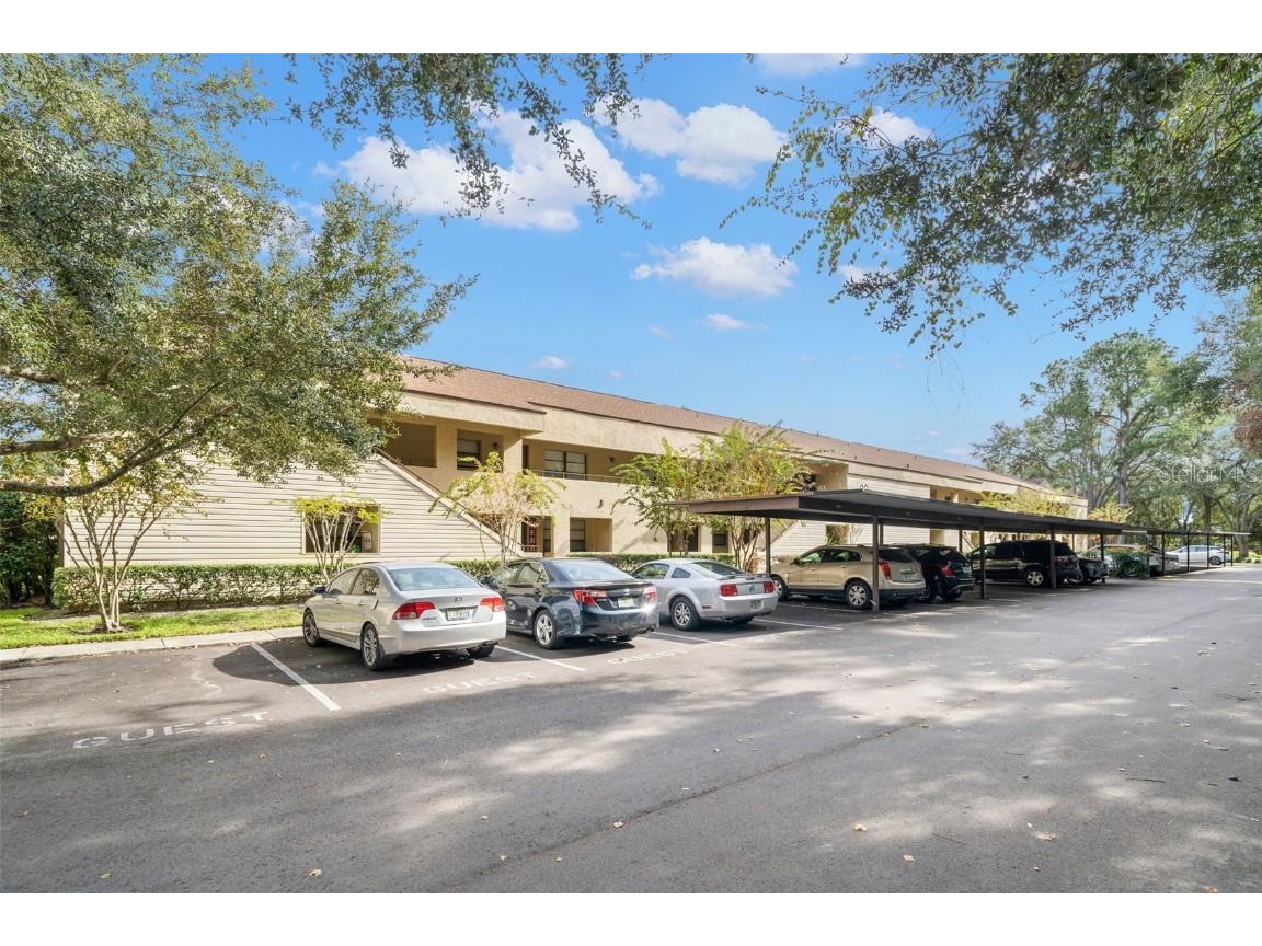 4967 Puritan Circle #421 Tampa FL 33617 T3491965 image1