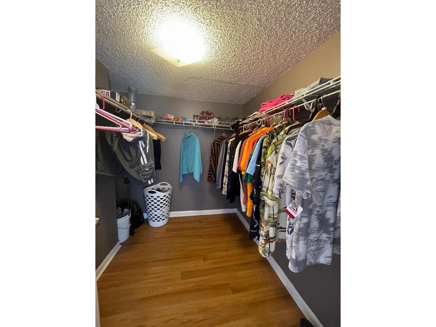 4967 Steel Dust Lane Lutz FL 33559 TB8384814 image12