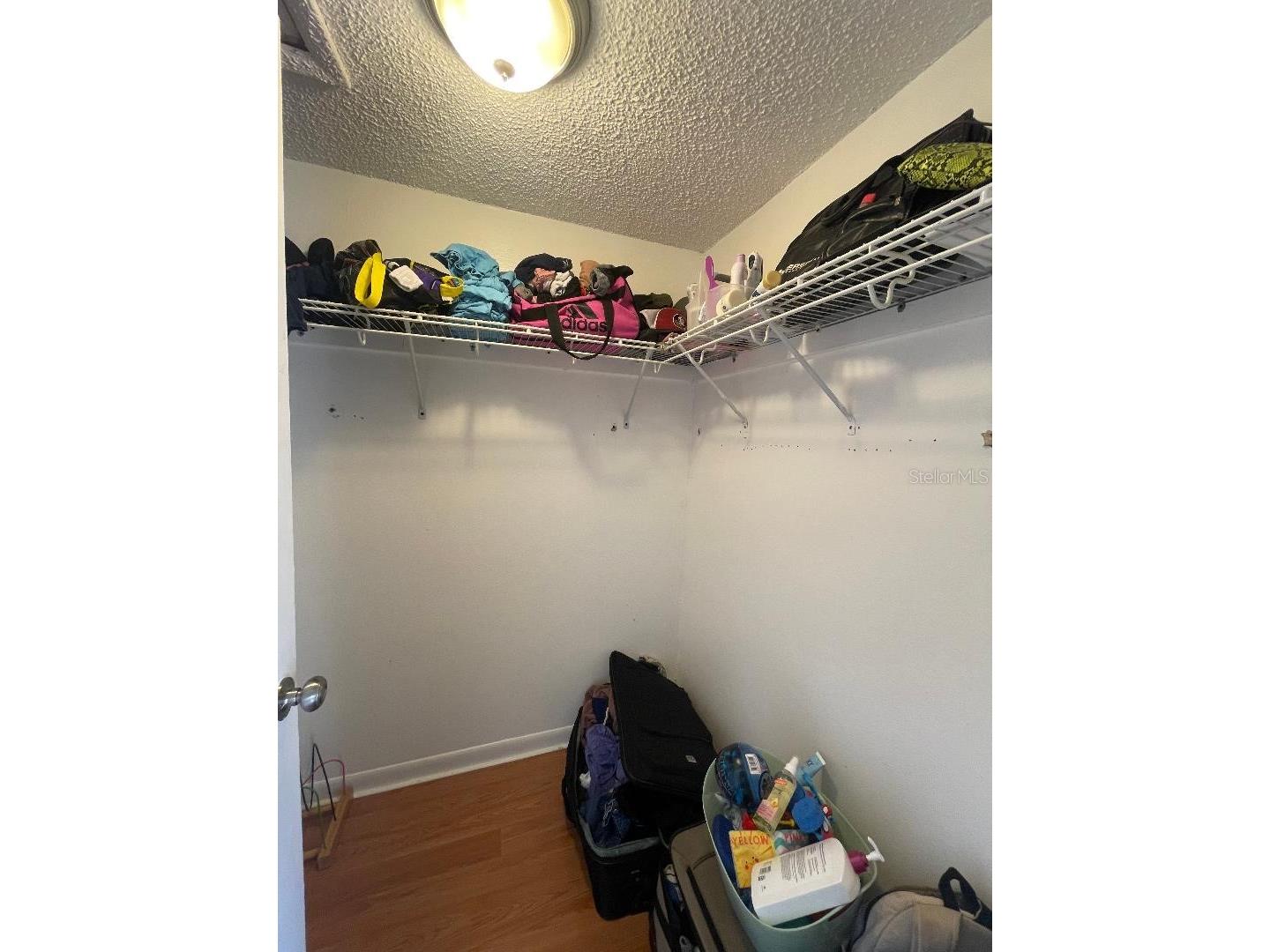 4967 Steel Dust Lane Lutz FL 33559 TB8384814 image14