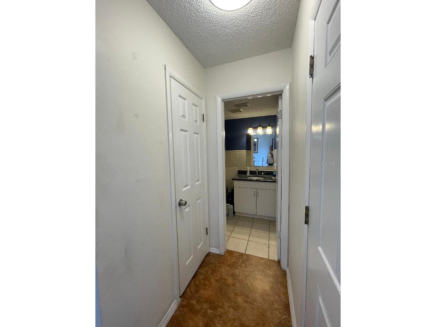 4967 Steel Dust Lane Lutz FL 33559 TB8384814 image15