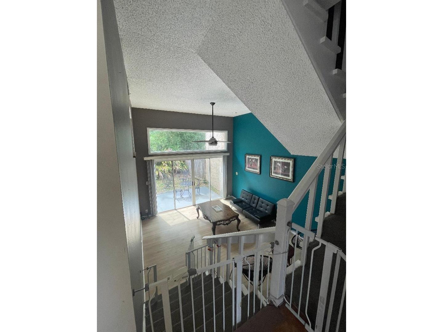 4967 Steel Dust Lane Lutz FL 33559 TB8384814 image2