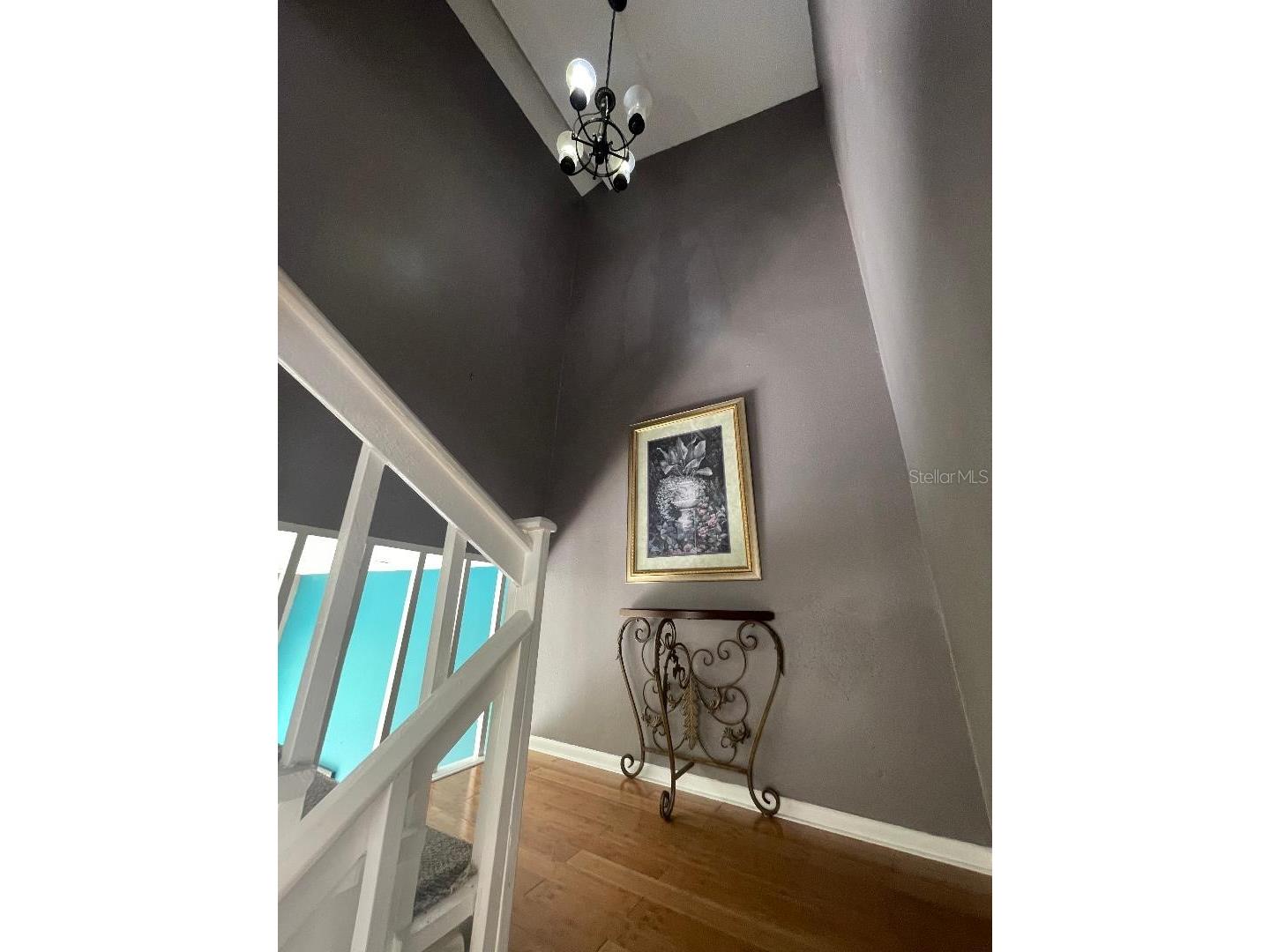 4967 Steel Dust Lane Lutz FL 33559 TB8384814 image7