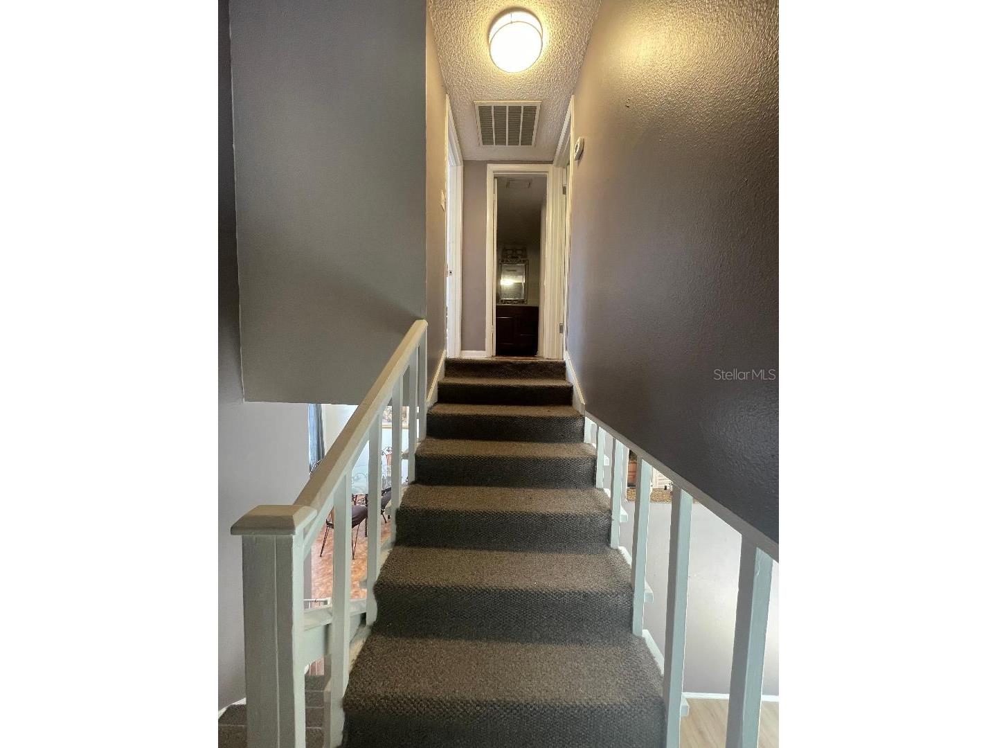 4967 Steel Dust Lane Lutz FL 33559 TB8384814 image8