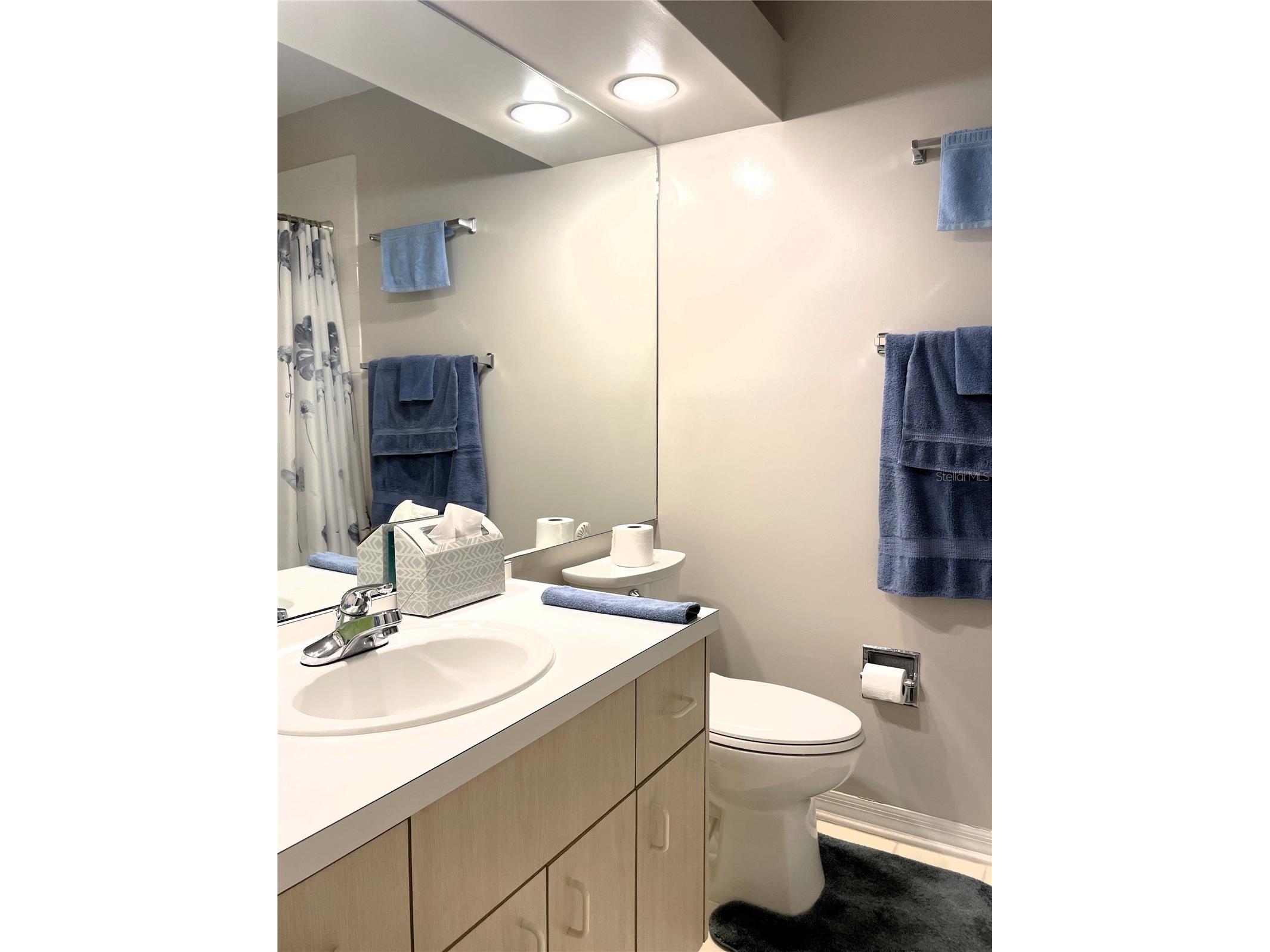 4968 Ebensburg Drive Tampa FL 33647 TB8528399 image11