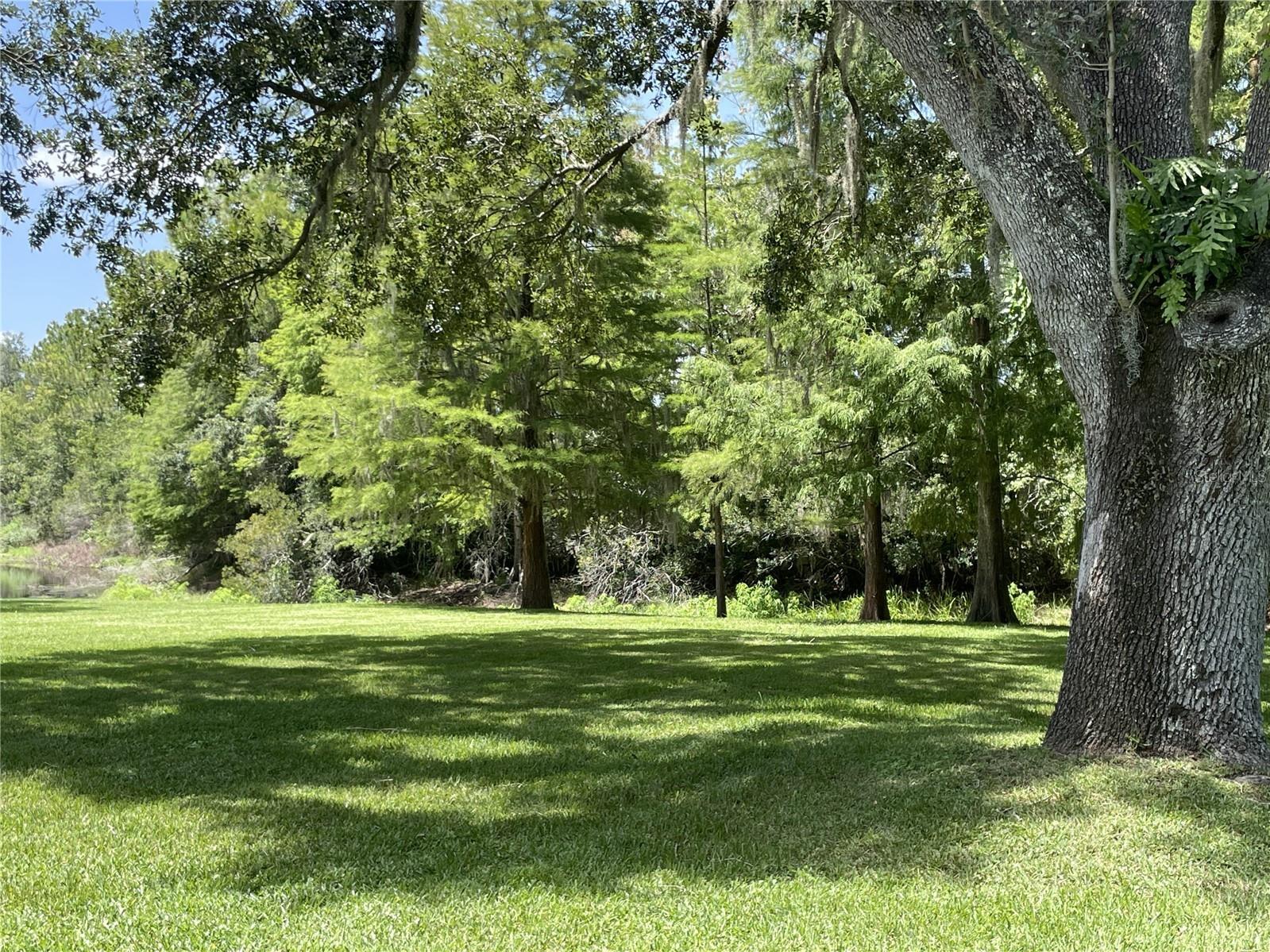 4968 Ebensburg Drive Tampa FL 33647 TB8528399 image18