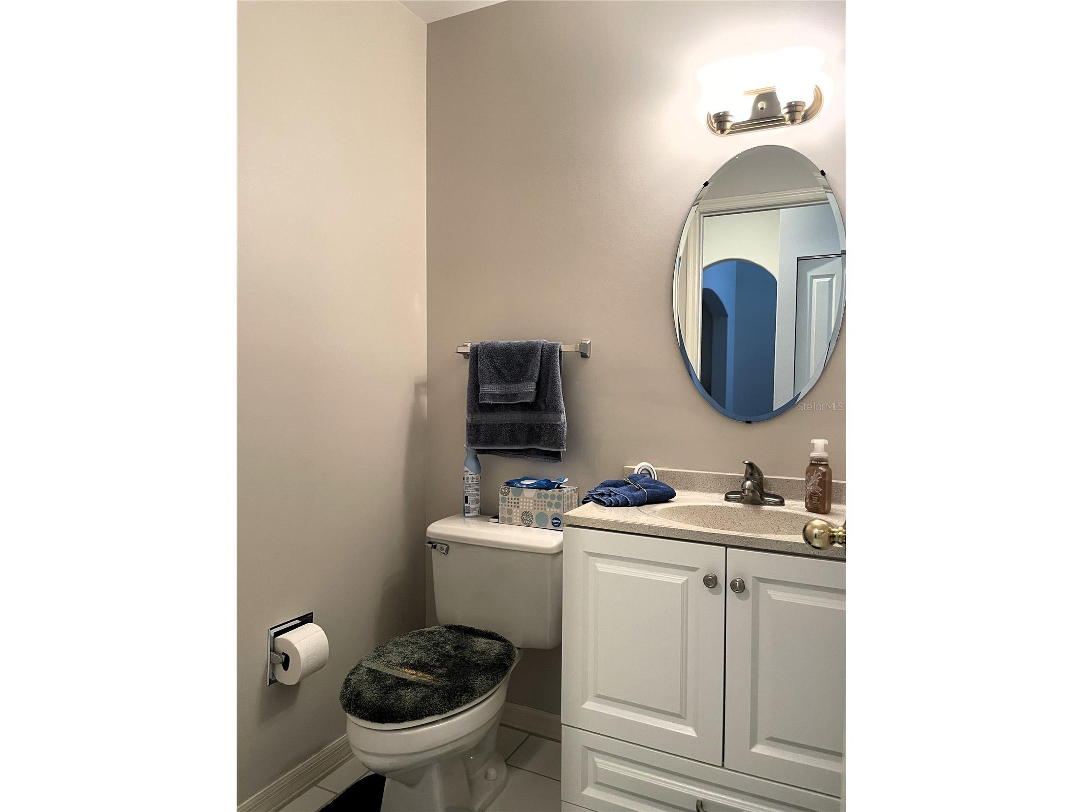 4968 Ebensburg Drive Tampa FL 33647 TB8528399 image7