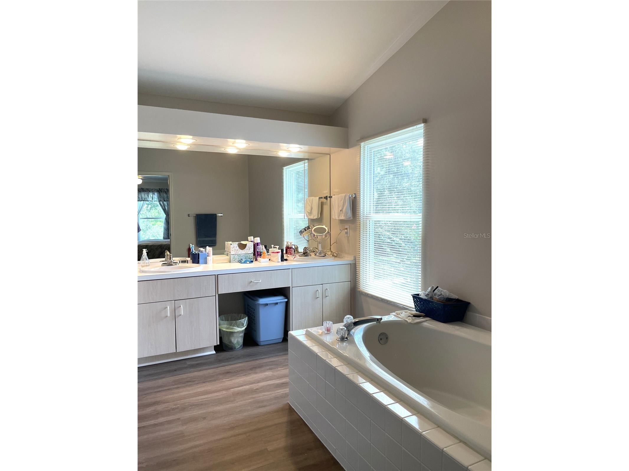 4968 Ebensburg Drive Tampa FL 33647 TB8528399 image9
