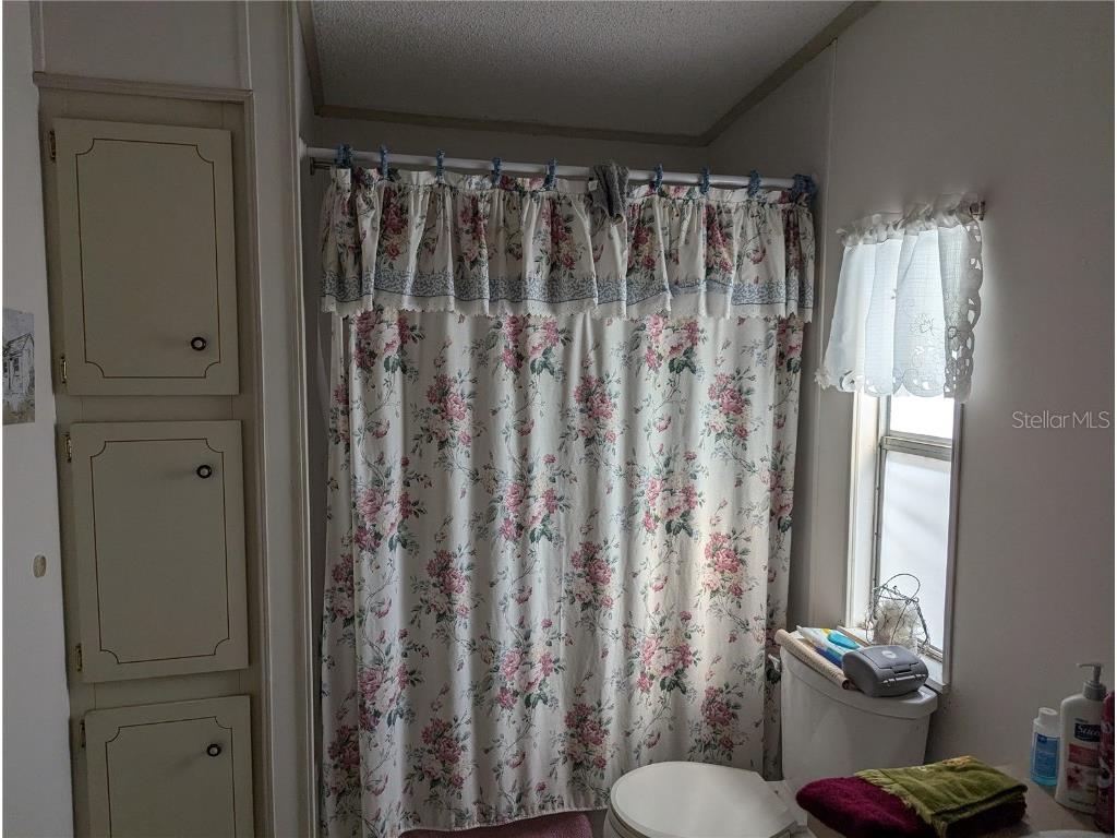 4968 Northshore Drive Polk City FL 33868 TB8344110 image11