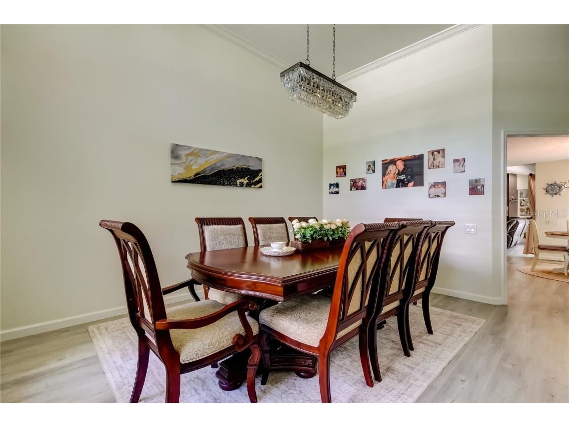 4969 Kilkenney Way Oldsmar FL 34677 TB8438530 image14