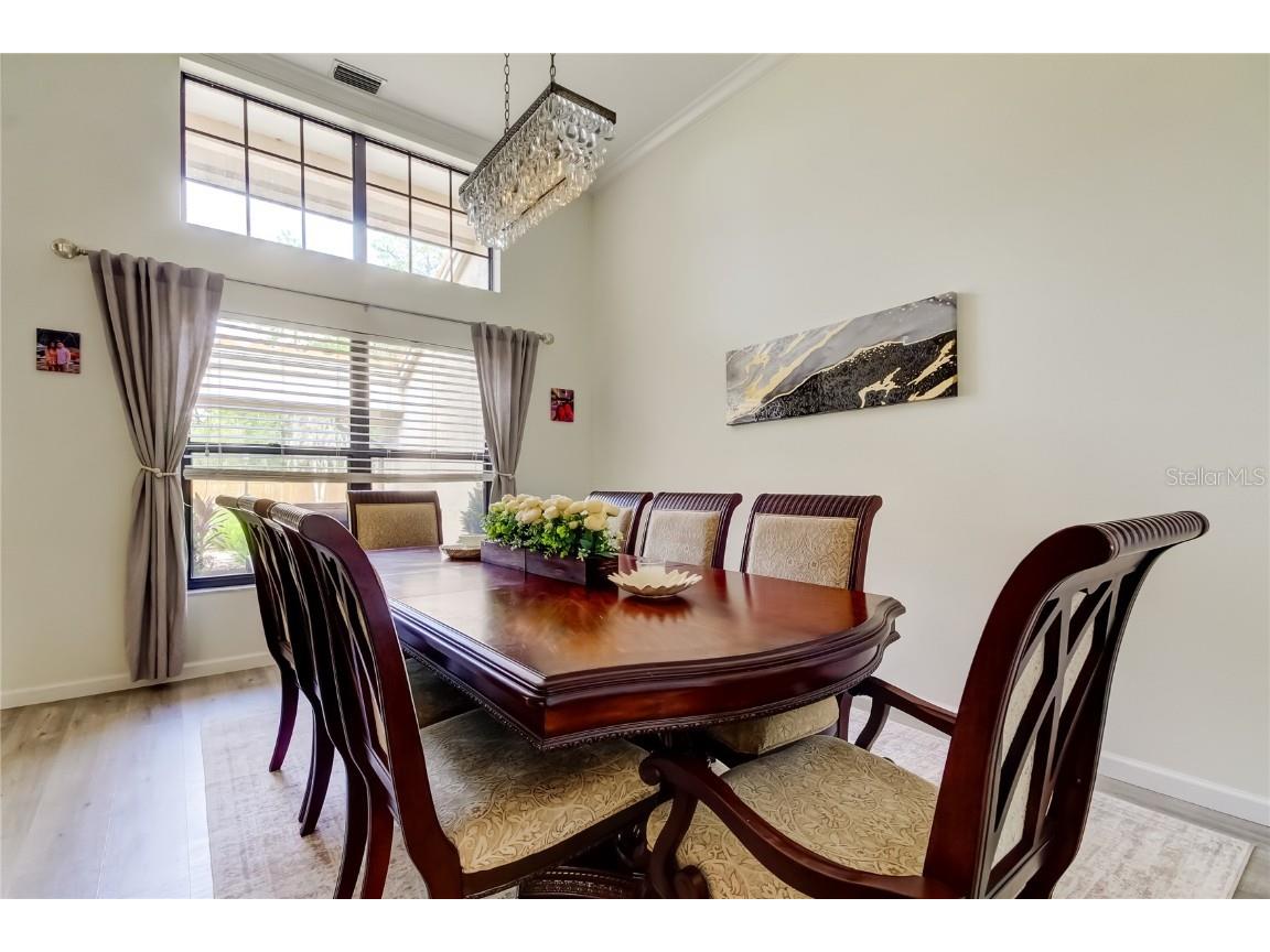 4969 Kilkenney Way Oldsmar FL 34677 TB8438530 image17