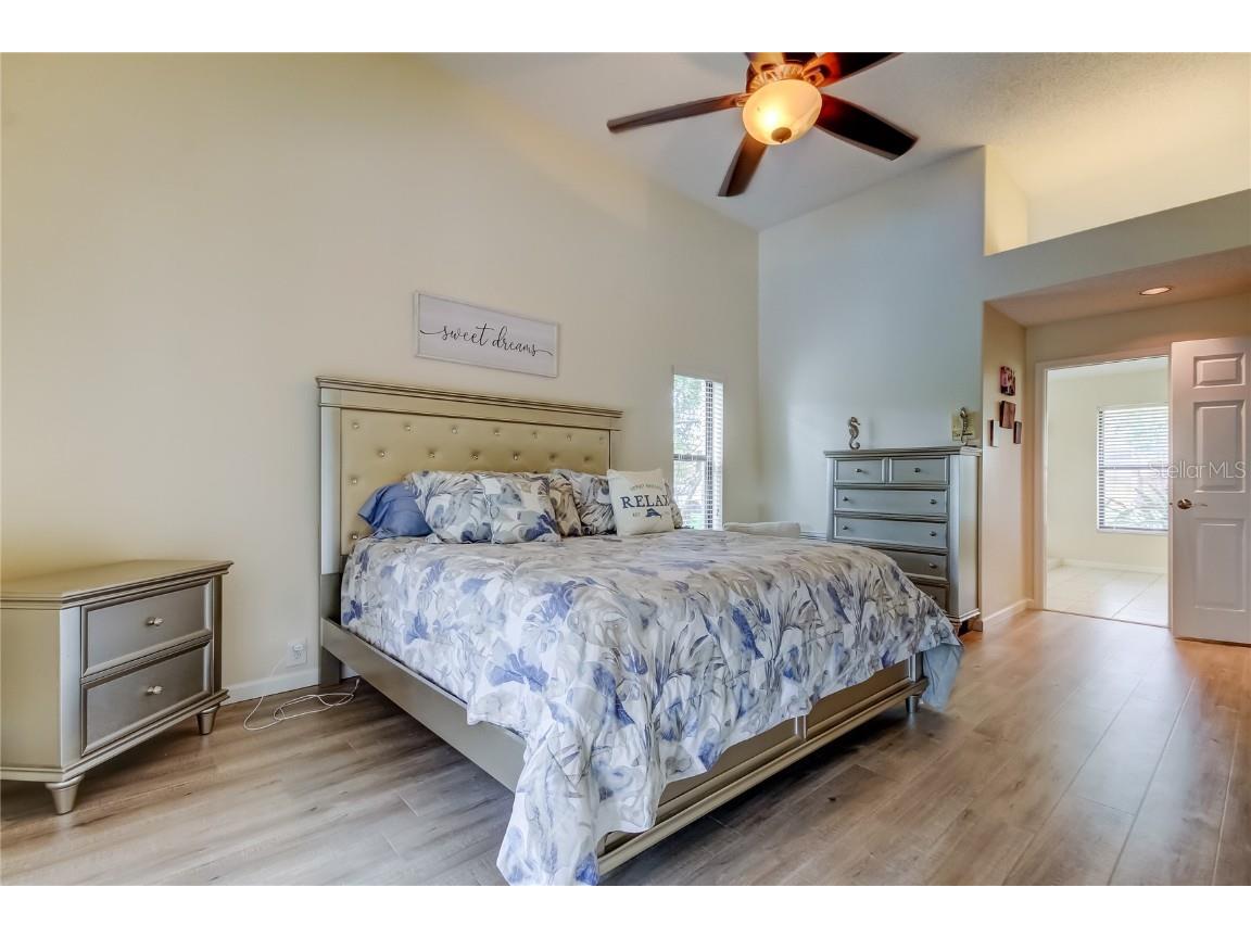 4969 Kilkenney Way Oldsmar FL 34677 TB8438530 image38