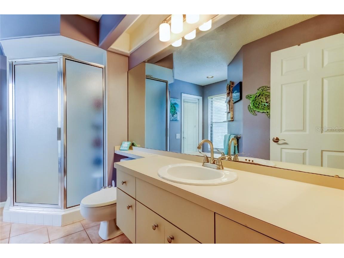 4969 Kilkenney Way Oldsmar FL 34677 TB8438530 image47