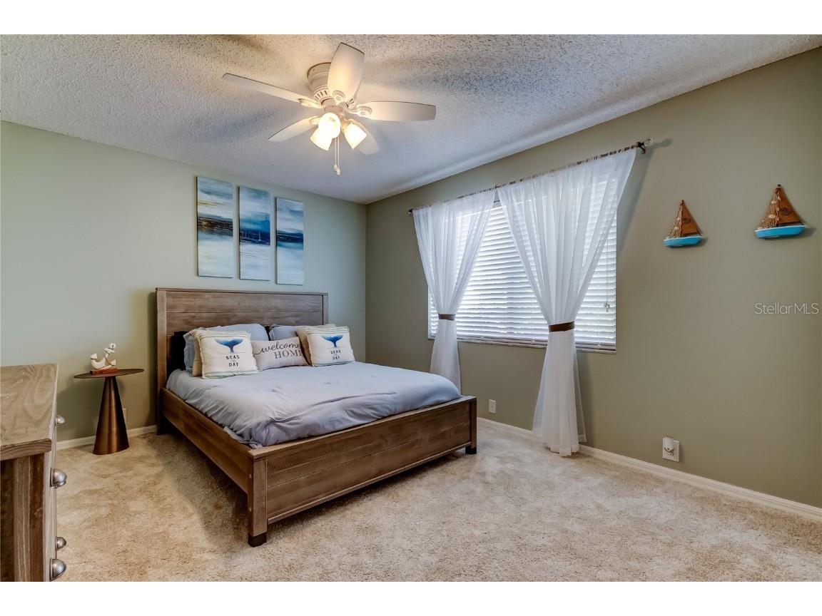 4969 Kilkenney Way Oldsmar FL 34677 TB8438530 image49