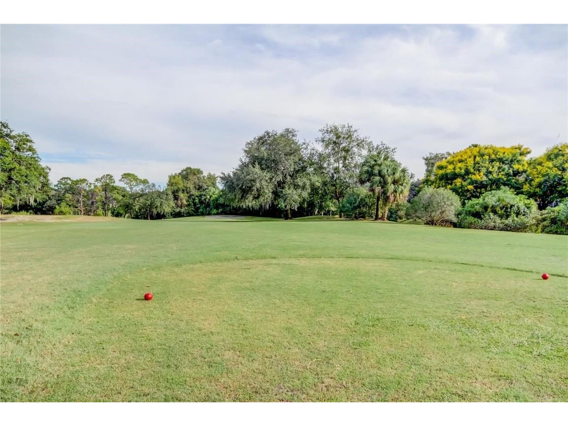 4969 Kilkenney Way Oldsmar FL 34677 TB8438530 image86