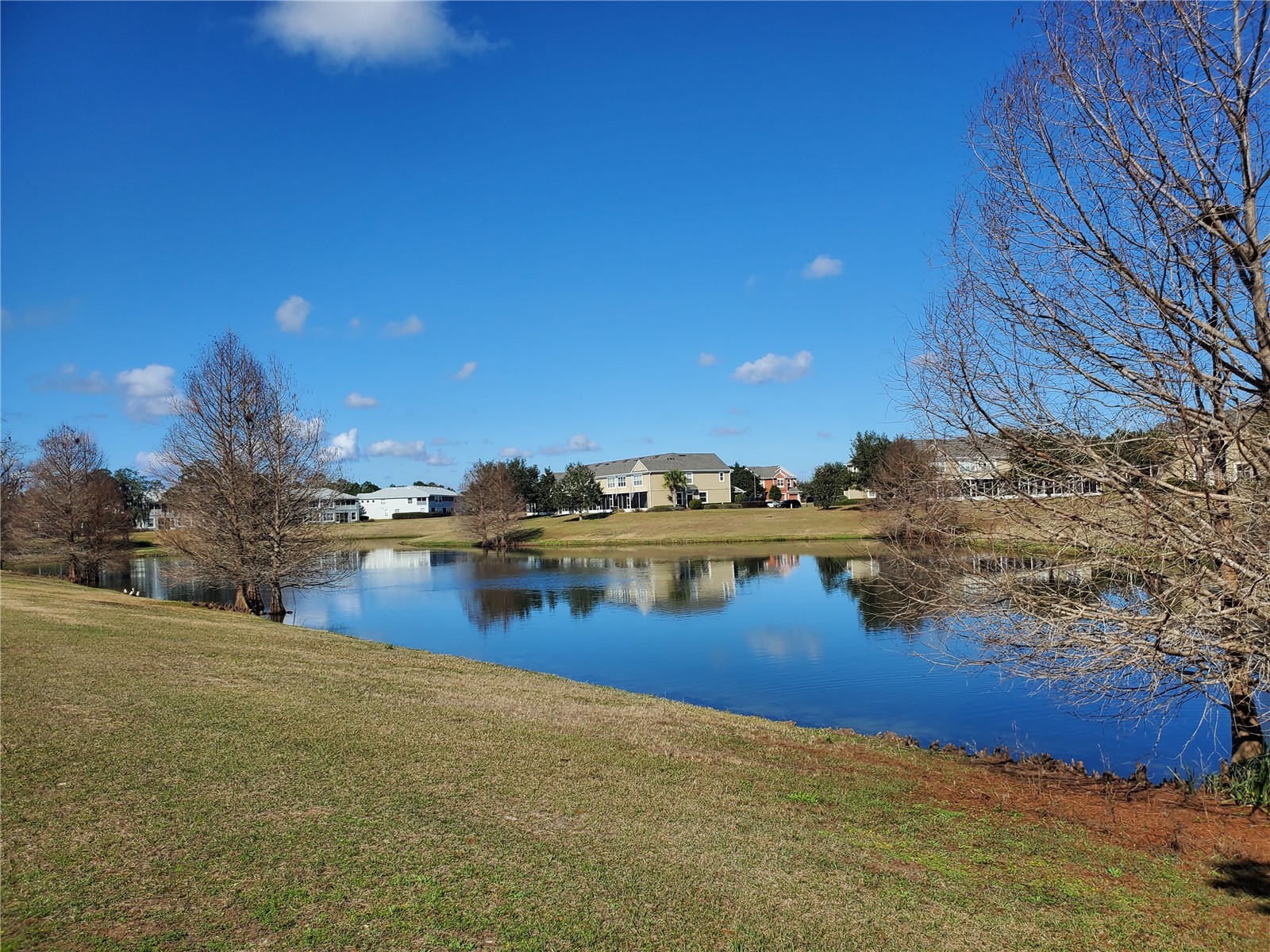 4969 SW 45th Circle Ocala FL 34474 OM719865 image4