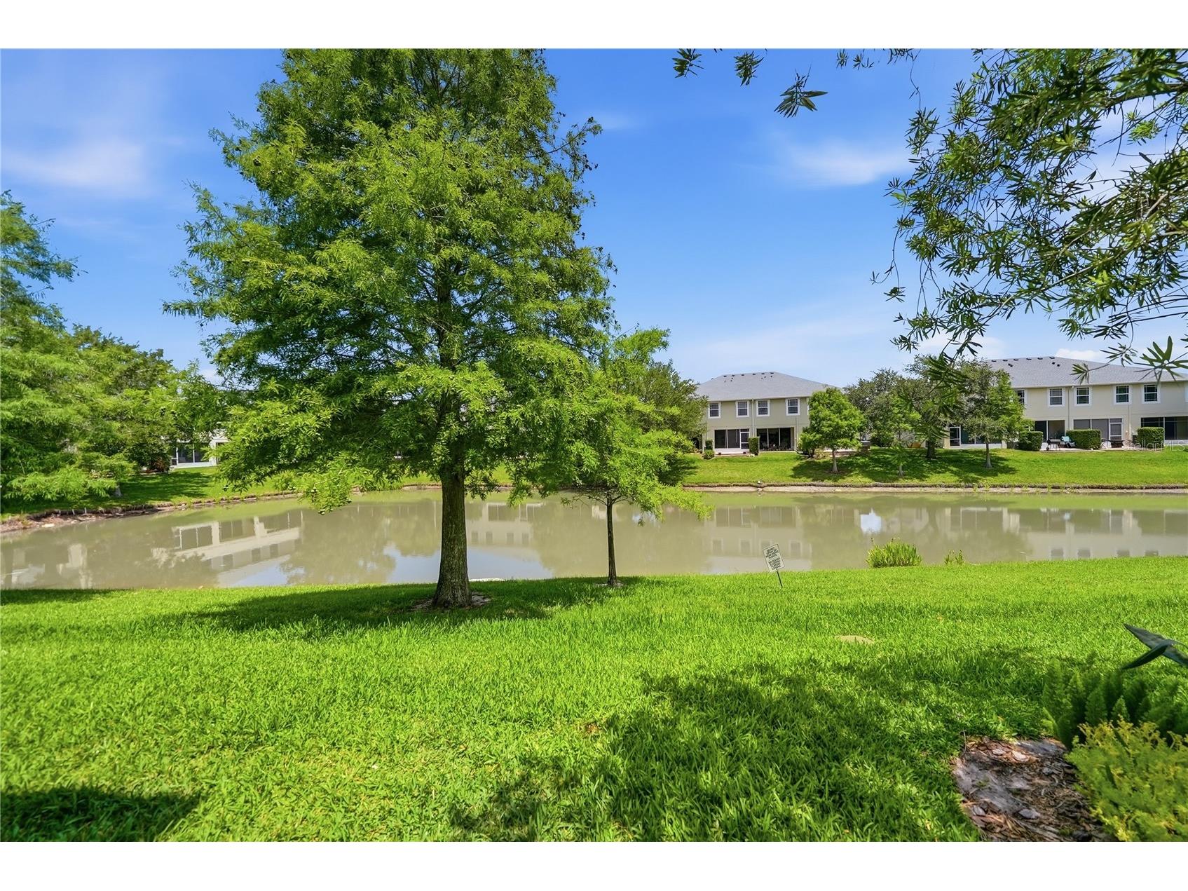 497 Harbor Ridge Drive Palm Harbor FL 34683 TB8513352 image40