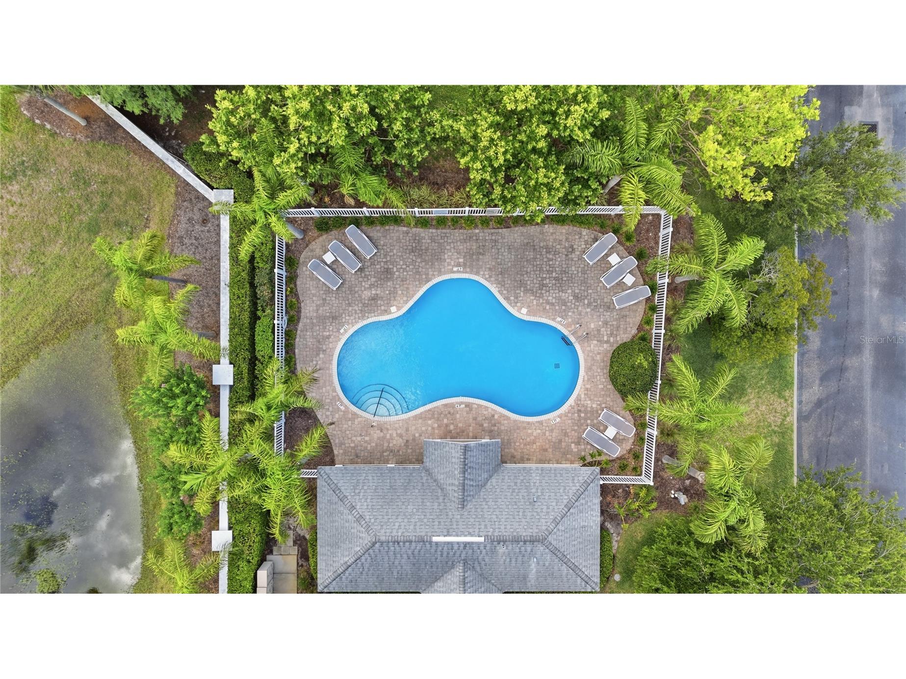 497 Harbor Ridge Drive Palm Harbor FL 34683 TB8513352 image41