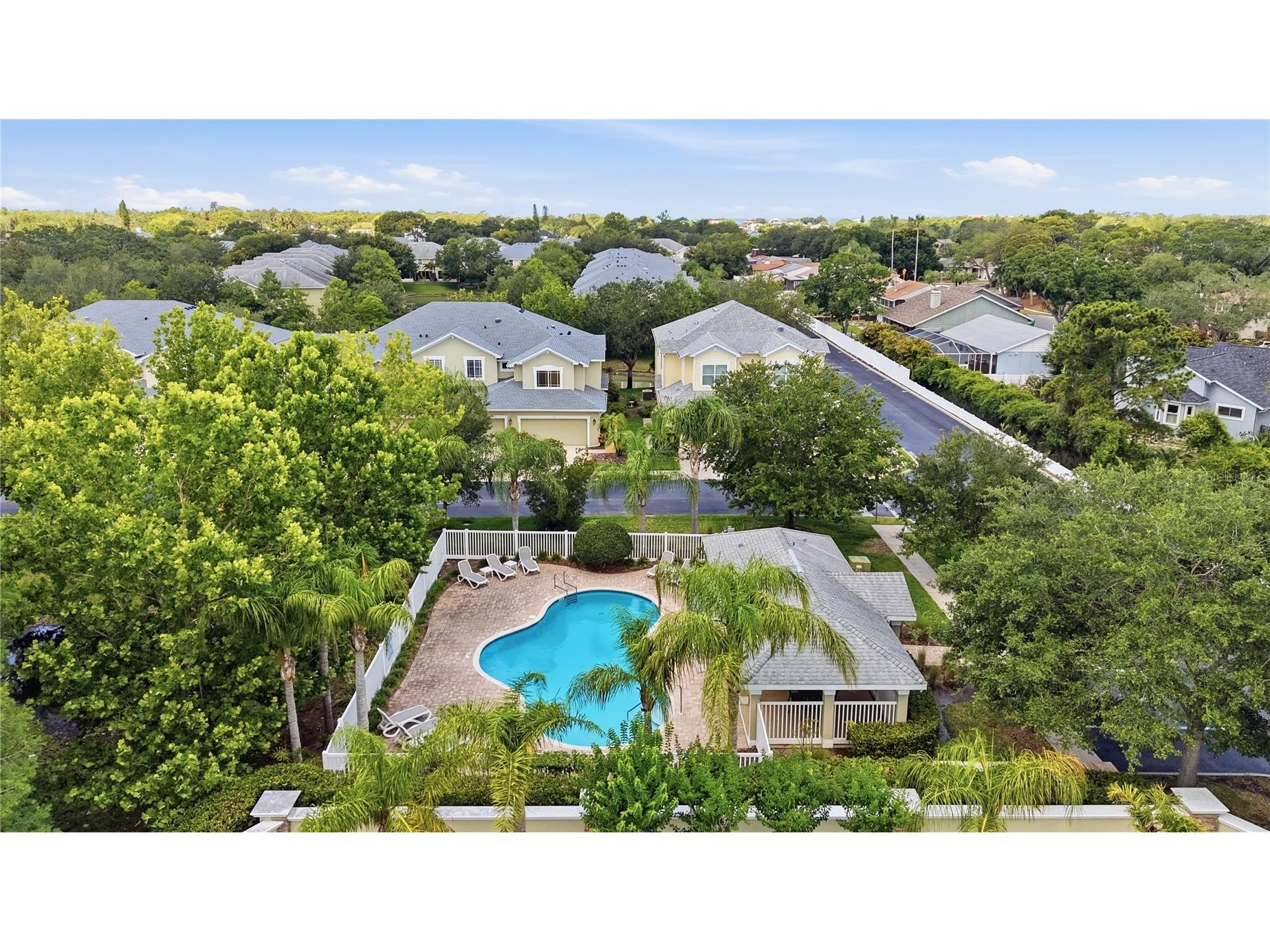 497 Harbor Ridge Drive Palm Harbor FL 34683 TB8513352 image42