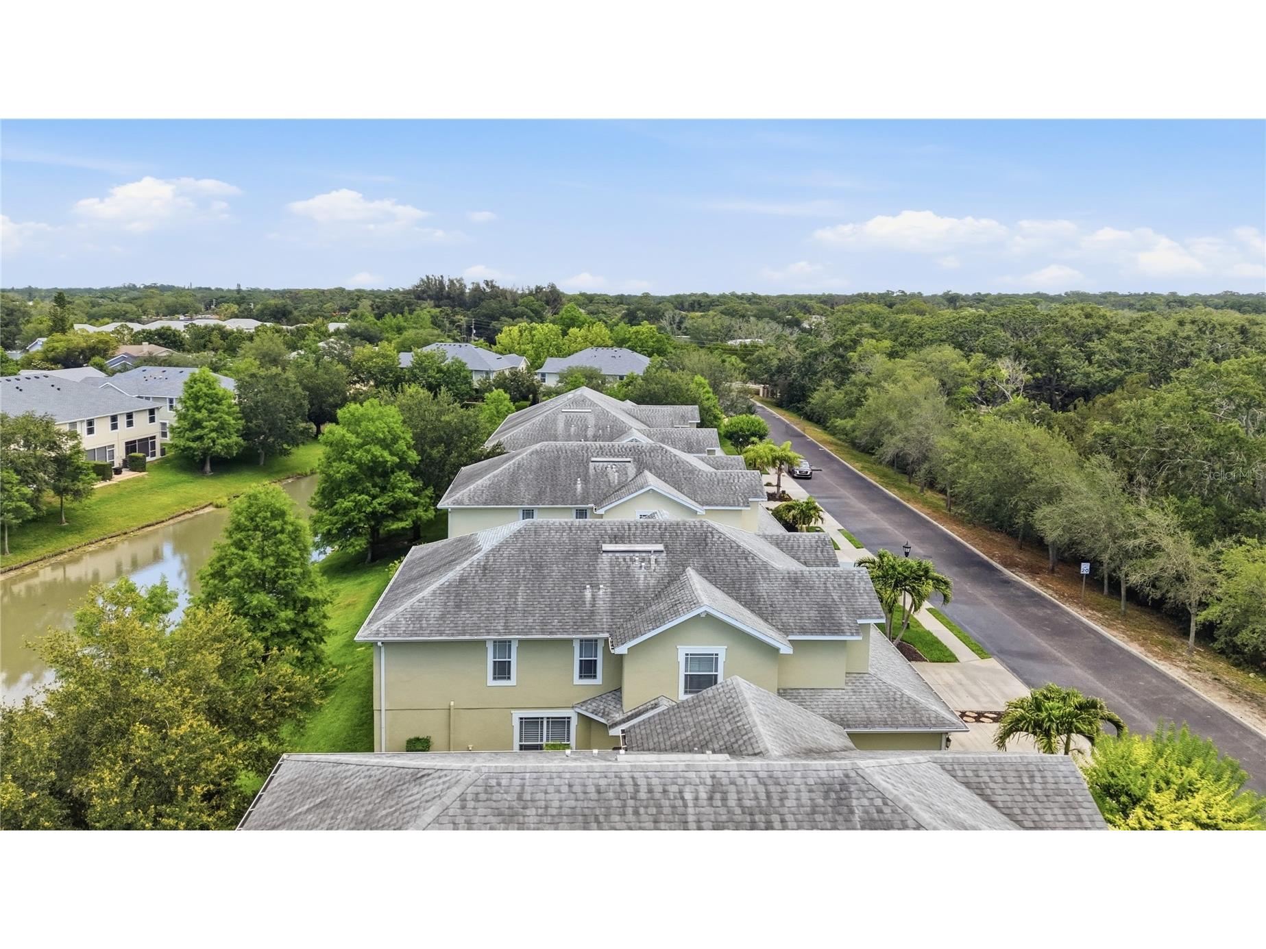 497 Harbor Ridge Drive Palm Harbor FL 34683 TB8513352 image44