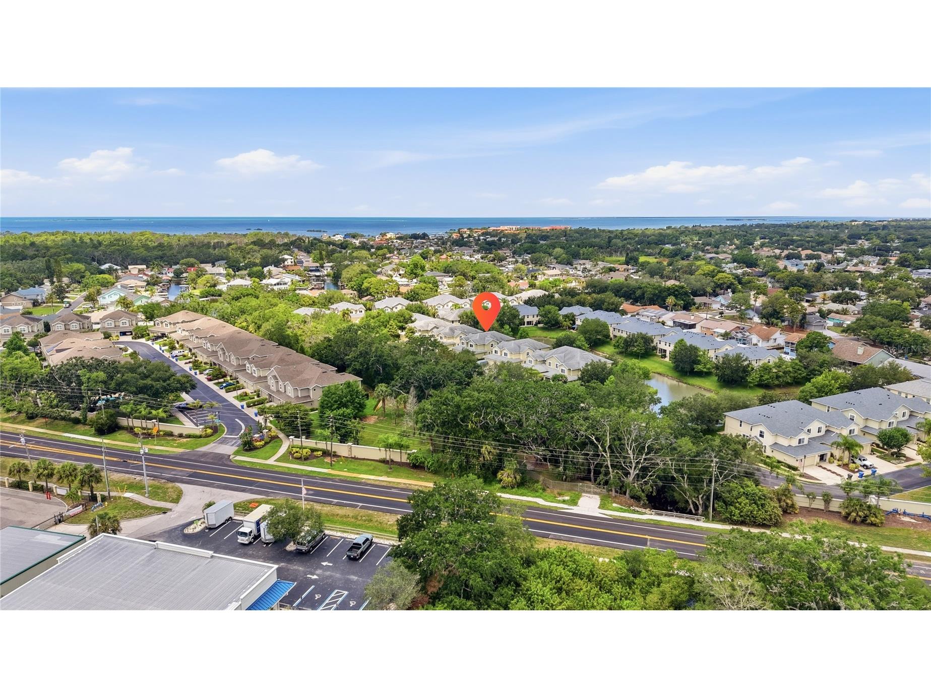 497 Harbor Ridge Drive Palm Harbor FL 34683 TB8513352 image51