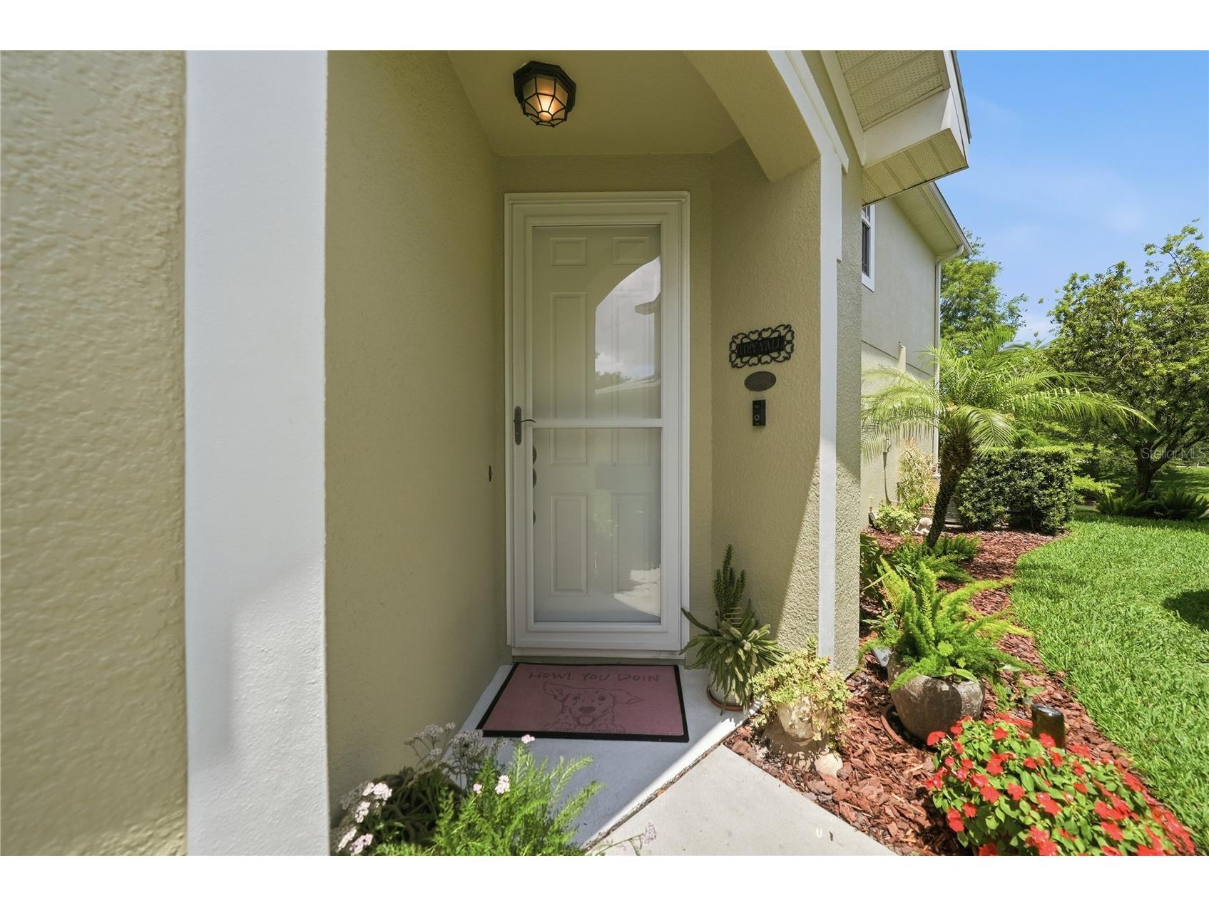 497 Harbor Ridge Drive Palm Harbor FL 34683 TB8513352 image6